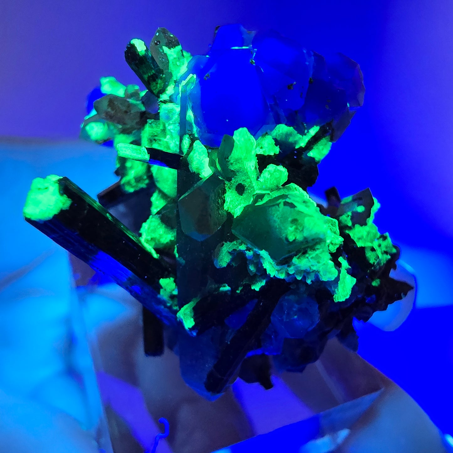 Fluorite fantôme hexagonale, tourmaline Schörl, quartz fumé, hyalite, Erongo, Namibie, 34 x 30 x 31 mm