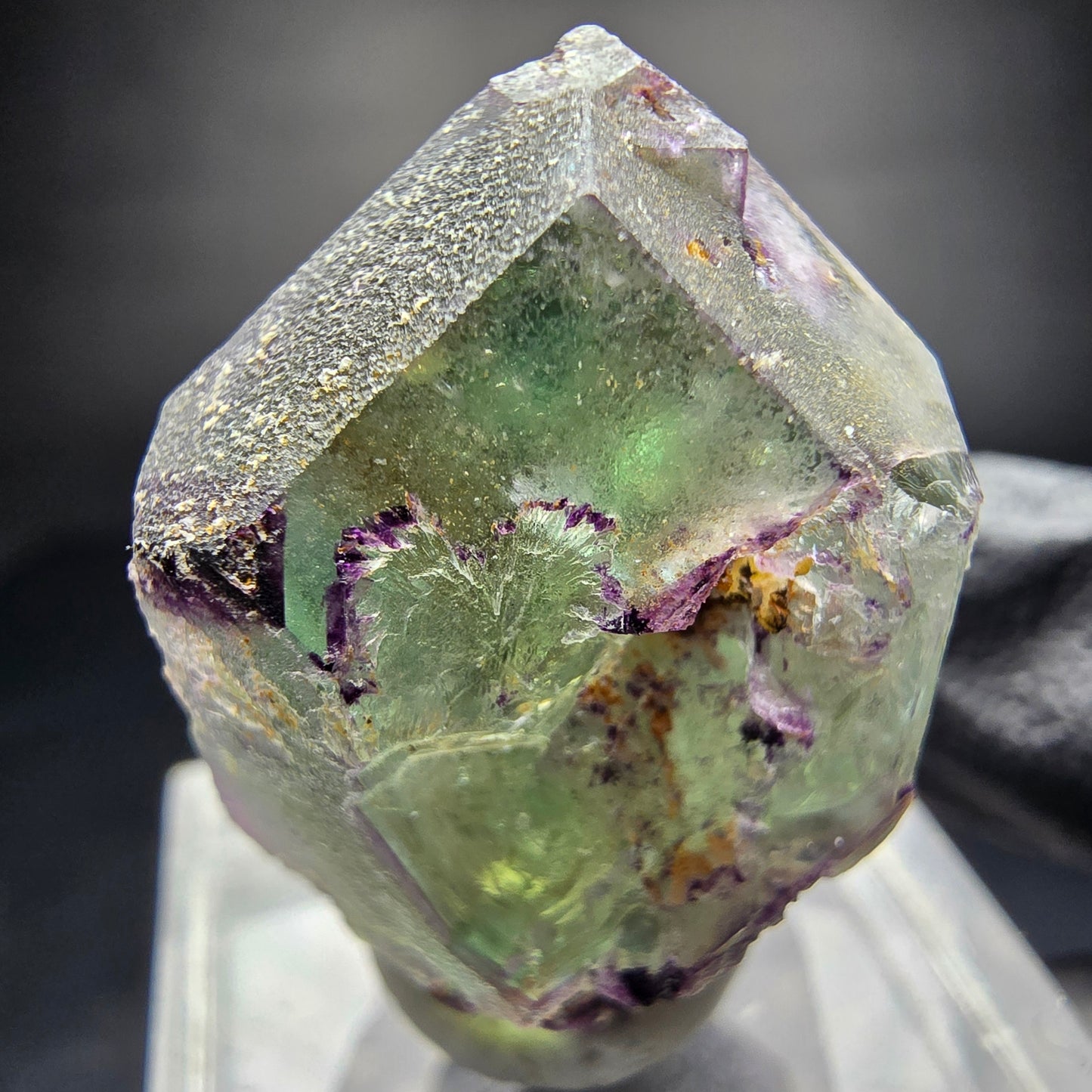 Zonar Phantom Fluorite Cube Tier Vert Violet Erongo Namibie 29*20*17mm