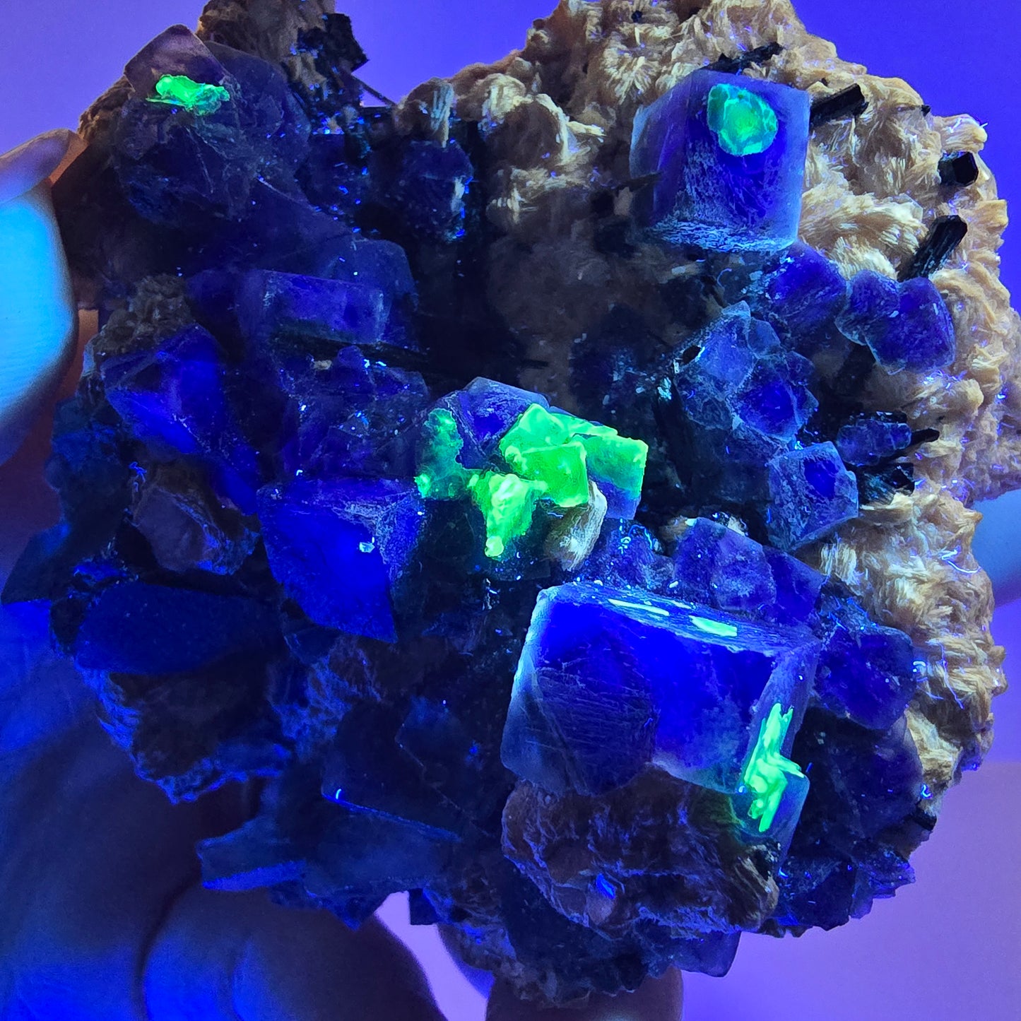 Fluorite fantôme colorée, tourmaline schol, hyalite, muscovite, Erongo, Namibie, 72 x 70 x 35 mm