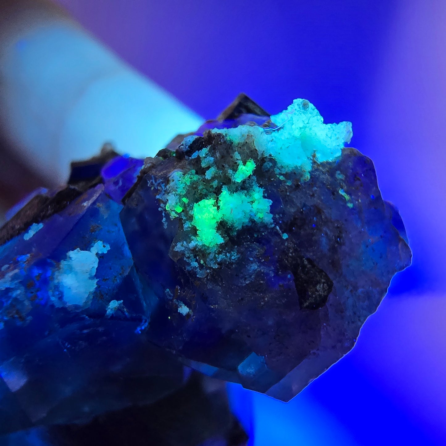 Fluorite fantôme hexagonale, tourmaline Schörl, quartz fumé, hyalite, Erongo, Namibie, 33 x 22 x 23 mm