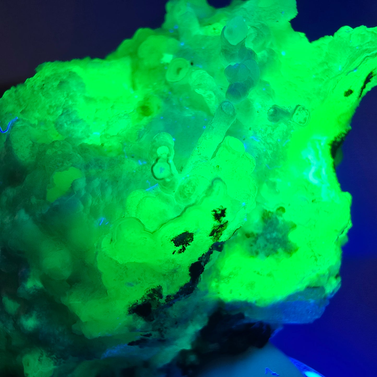 Spécimen rare d'opale hyalite (minéral UV) de tourmaline Schorl, Erongo, Namibie, 64 x 50 x 36 mm