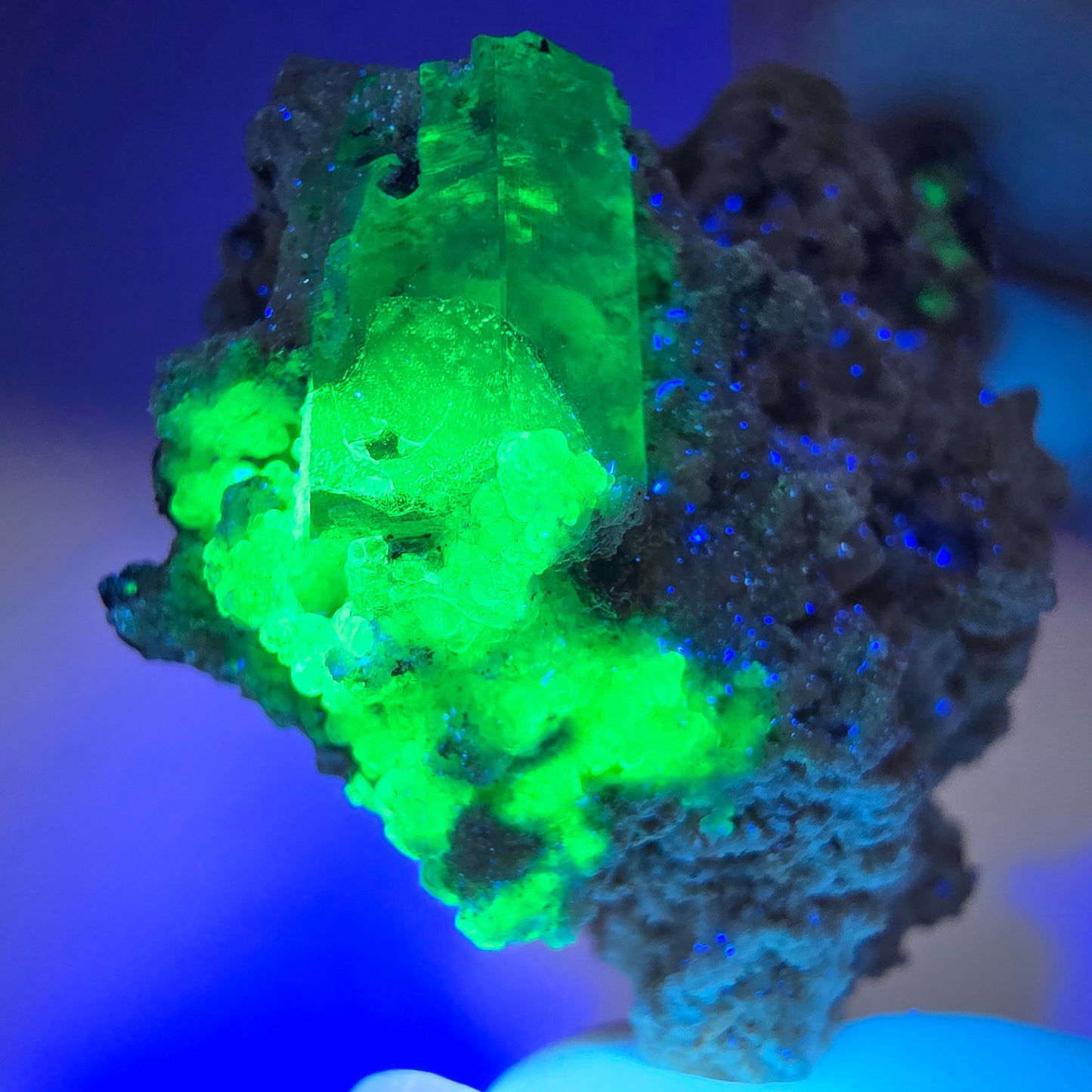 Seltene Aquamarin X mit Hyalit, Orthoklas Stufe Erongo, Namibia 39*38*28mm