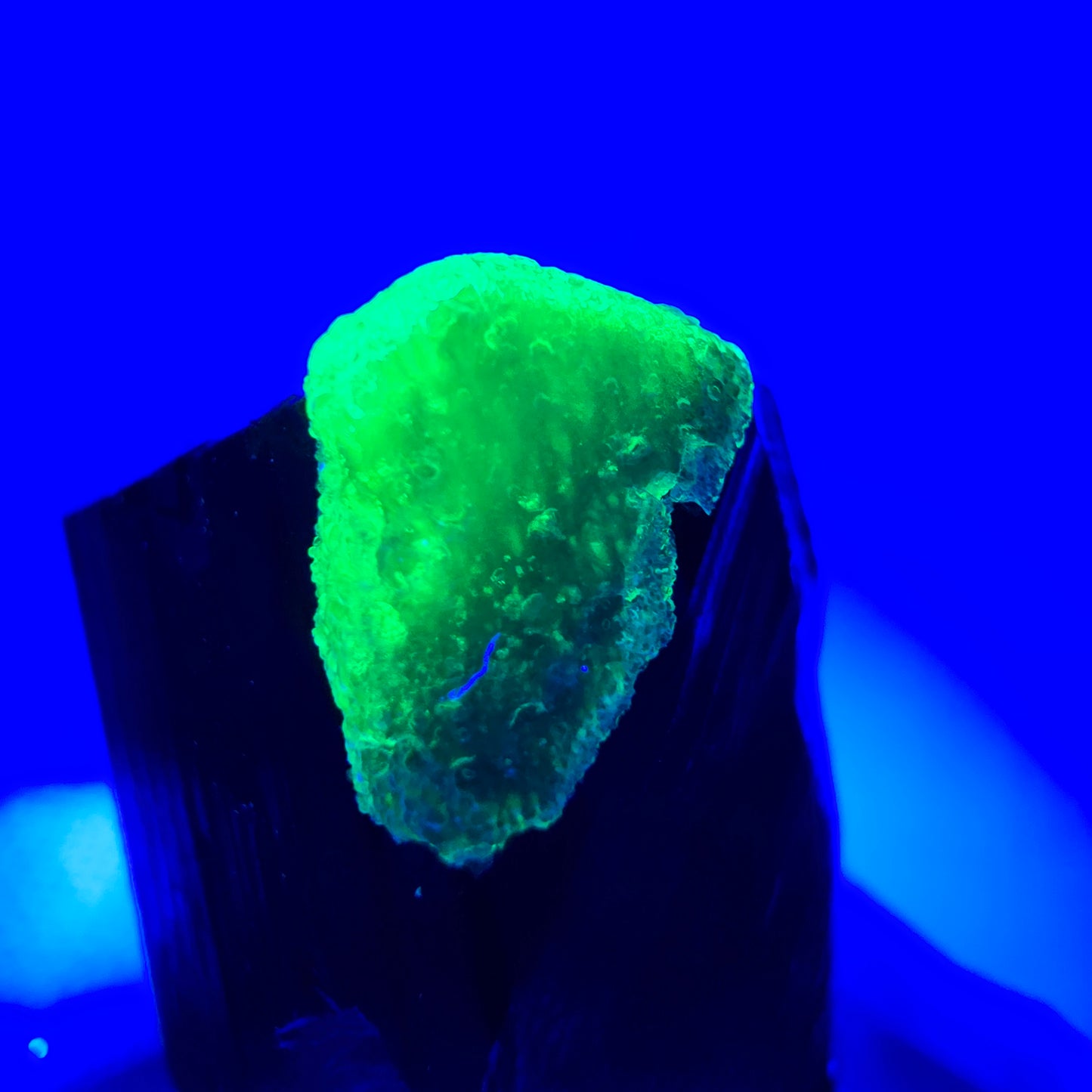 Seltener Schörl Turmalin, Hyalit Kristall Erongo, Namibia 28*23*17mm Sammlung