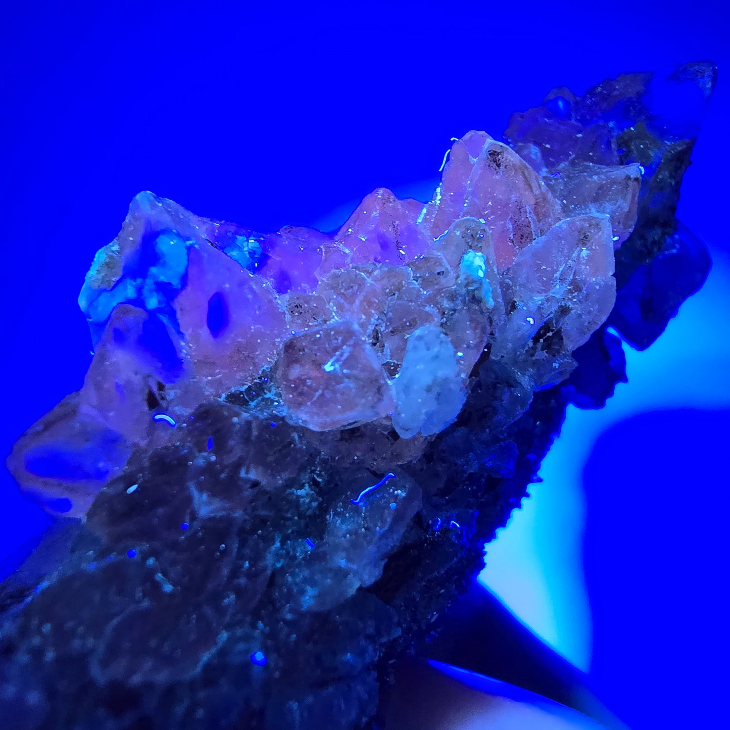 Spécimen rare de calcite UV, mine Valentine Pocket, Goboboseb, Namibie, 88 x 44 x 29 mm