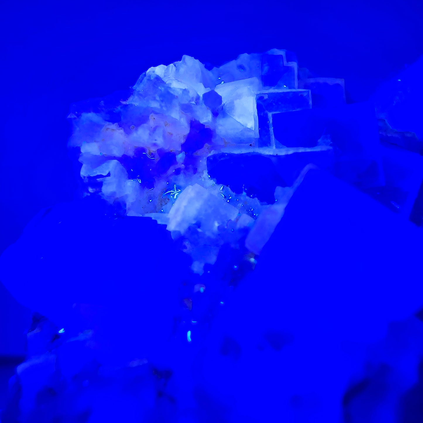 Seltene UV Phantom Fluorit Würfel, Quarz Stufe Brandberg, Namibia 47*31*18mm