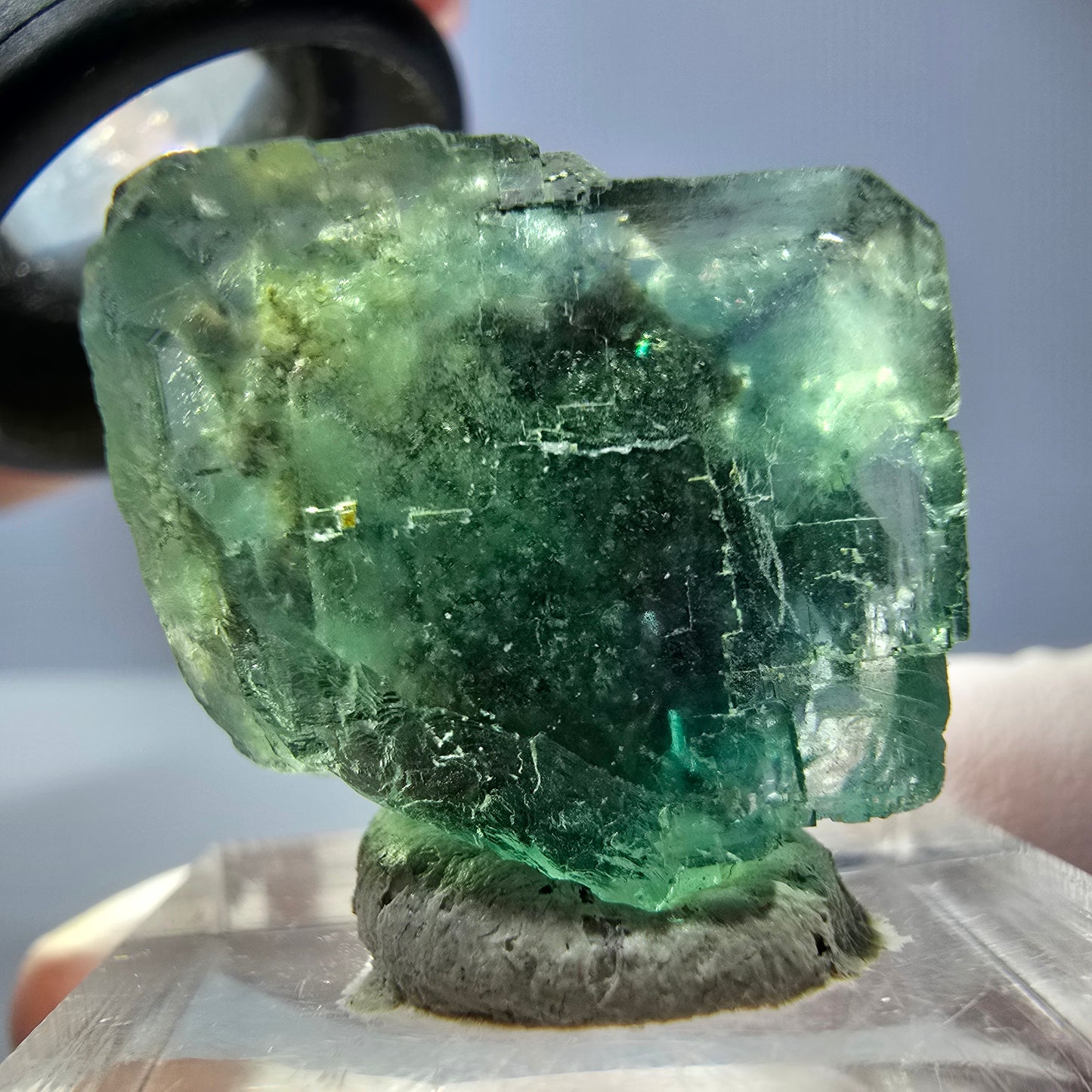 Cube de fluorite fantôme transparente parquetée, vert Okorusu, Namibie 20 x 19 x 15 mm