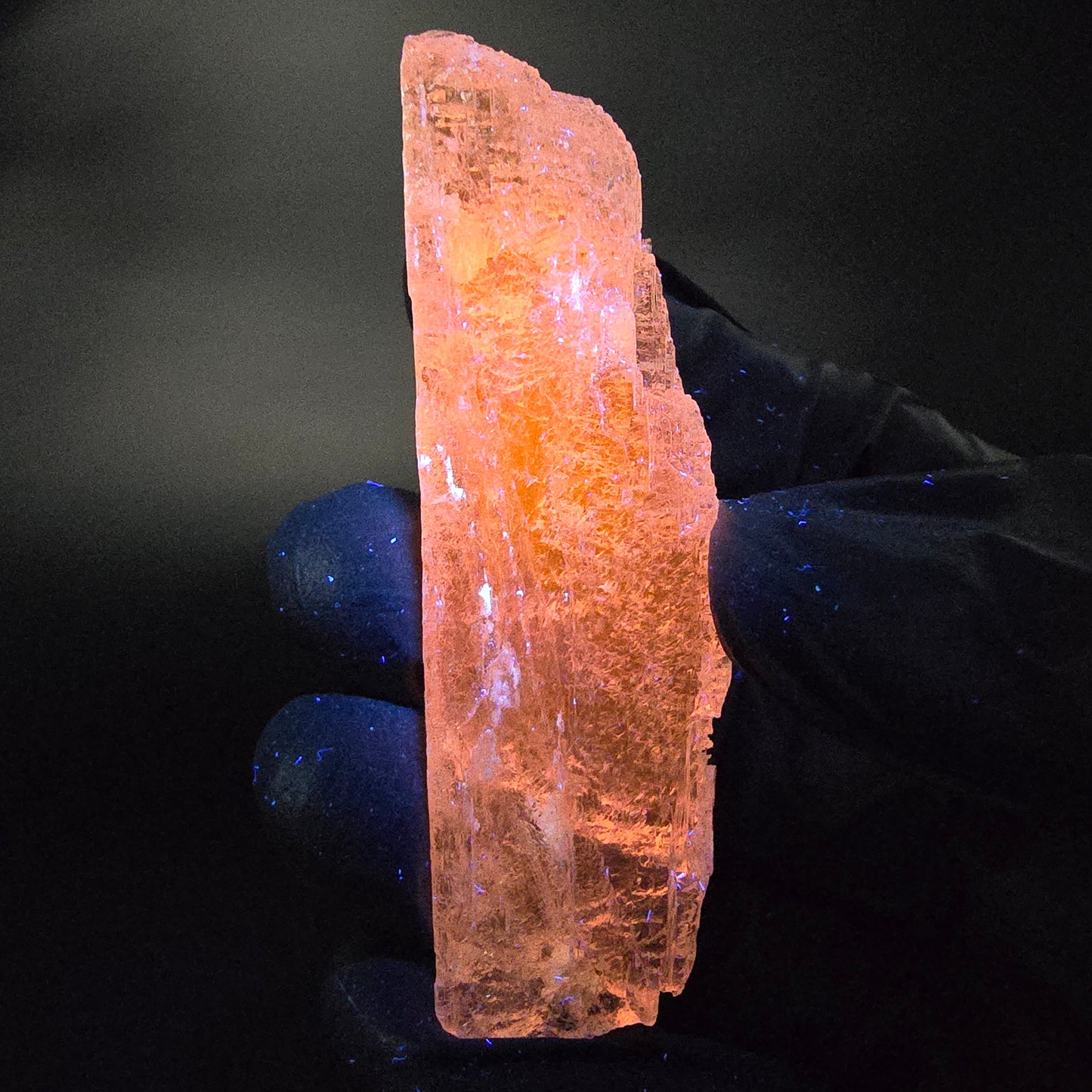 Seltener Kunzit Spodumen Kristall weiß UV Mineral 73*22*13mm Brasilien Sammlung