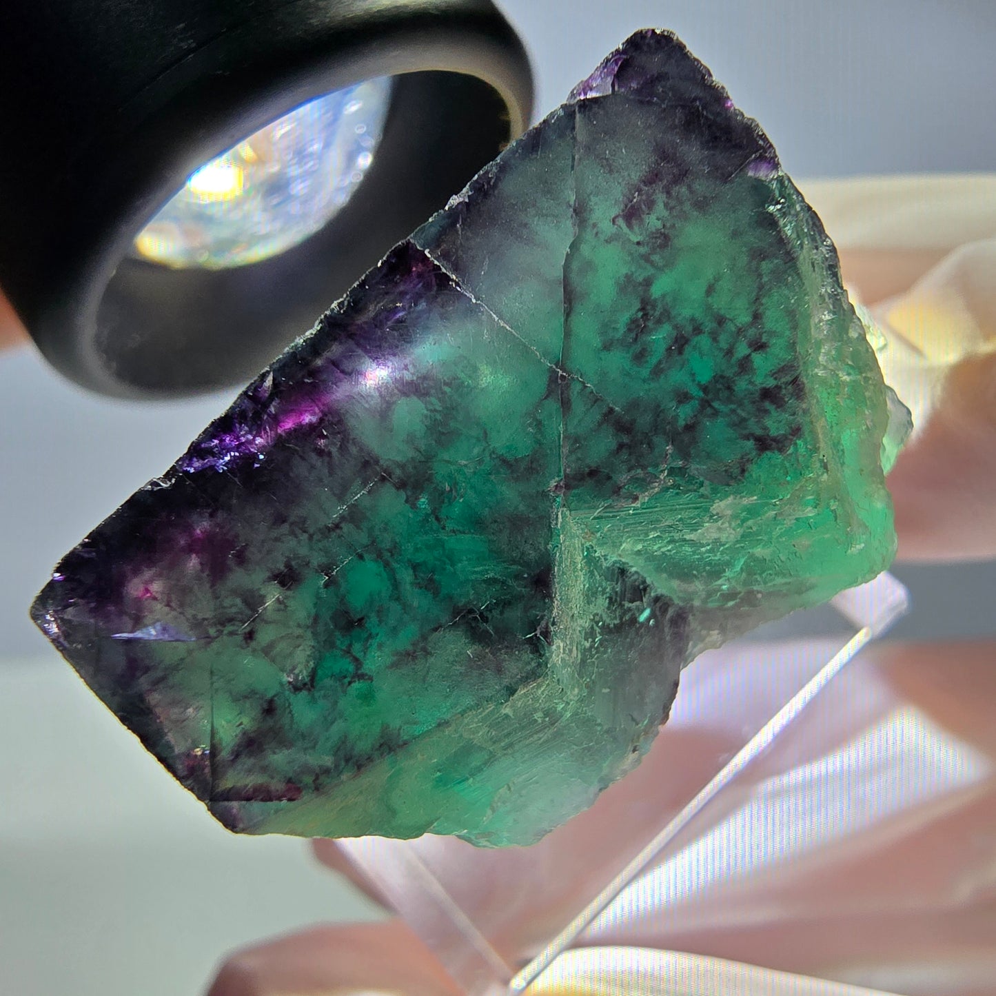 Rare cube de fluorite fantôme parqueté vert violet Okorusu Namibie 32*23*19mm