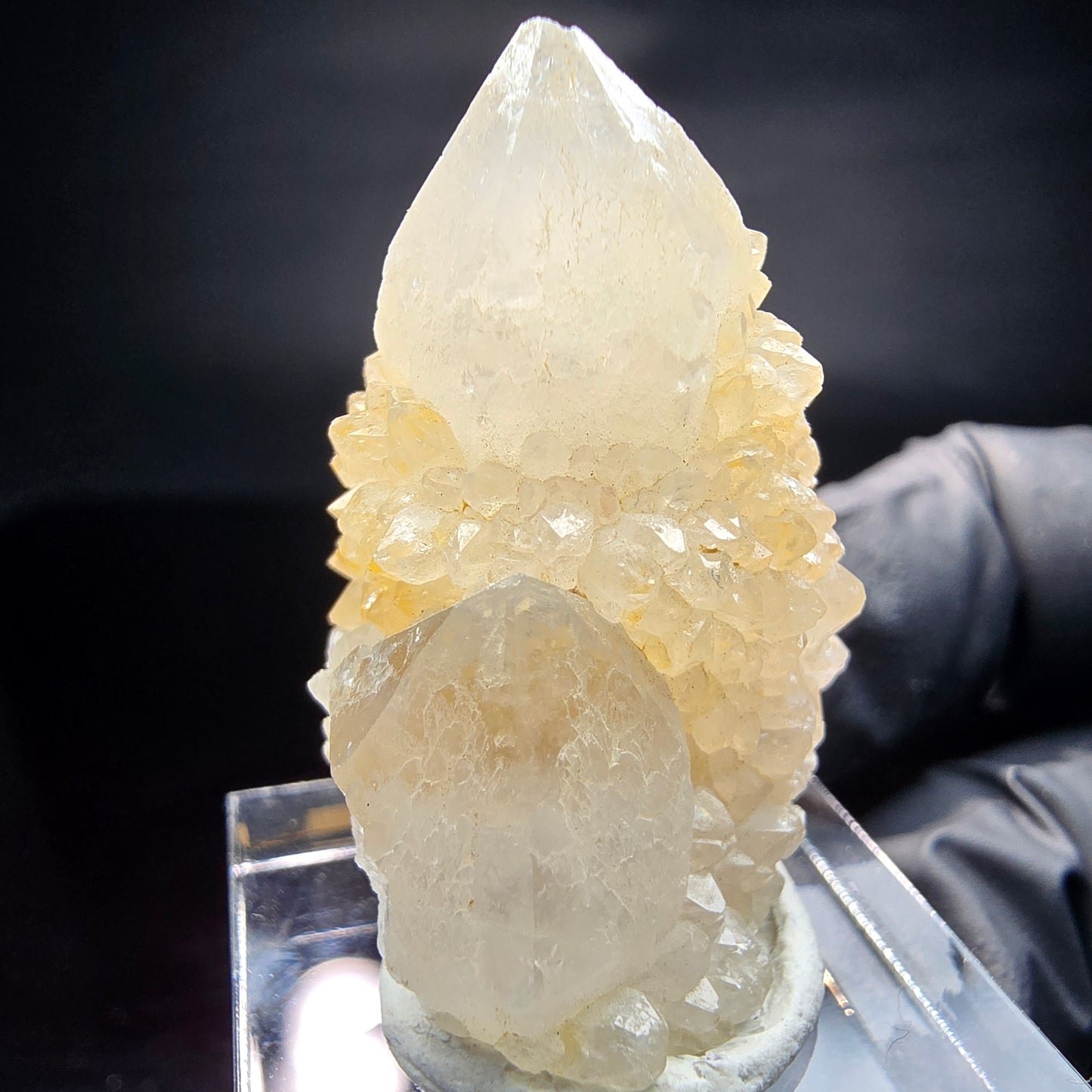 Quartz cactus, quartz spiritueux niveau XX Boekenhouthoek, collection Afrique du Sud 35*23*17