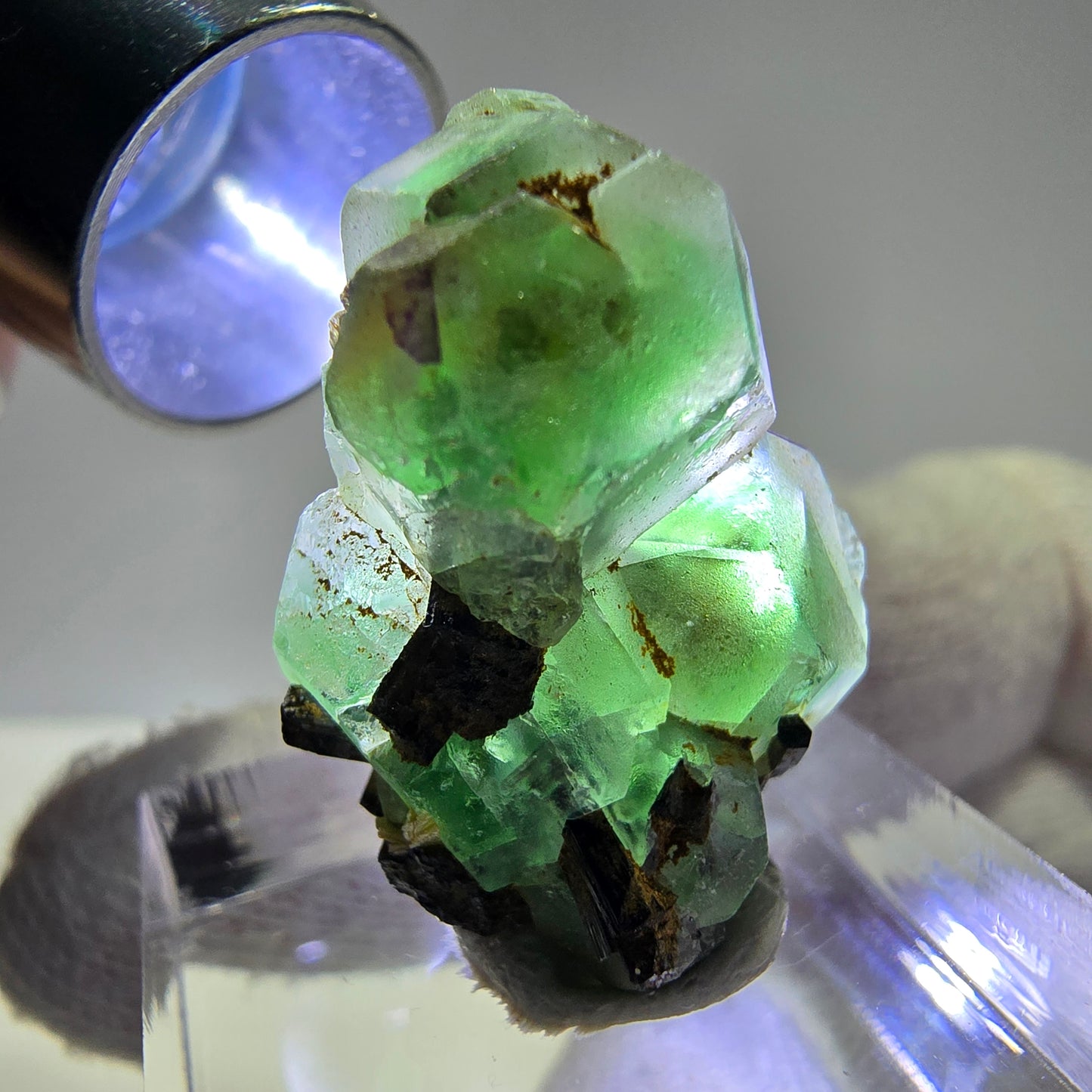 Spécimen de tourmaline Schorl hexagonale en cube de fluorite fantôme, Erongo, Namibie, 26 x 19 x 12 mm