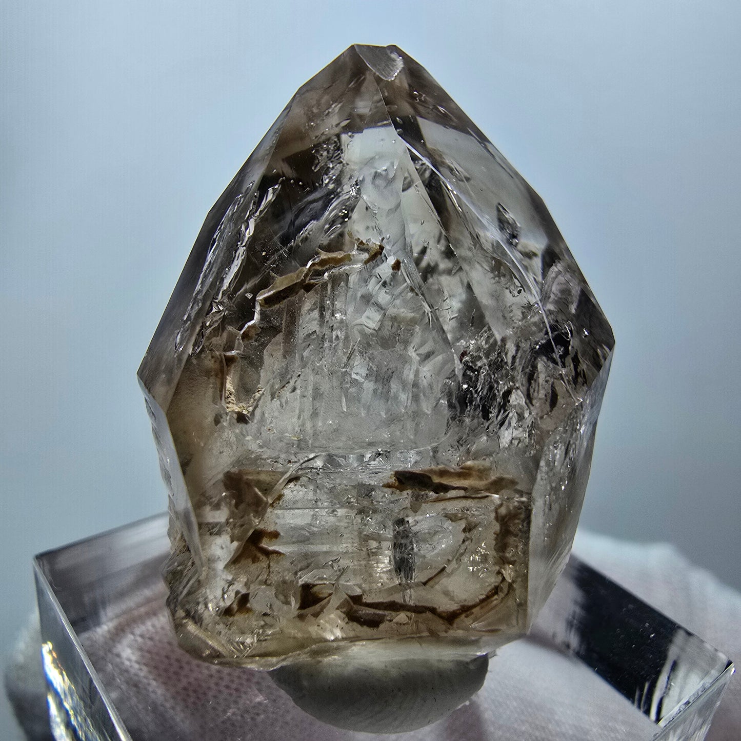Enhydro Phantom Rauchquarz Zepter, 1x Blase Goboboseb, Namibia 32*23*18mm
