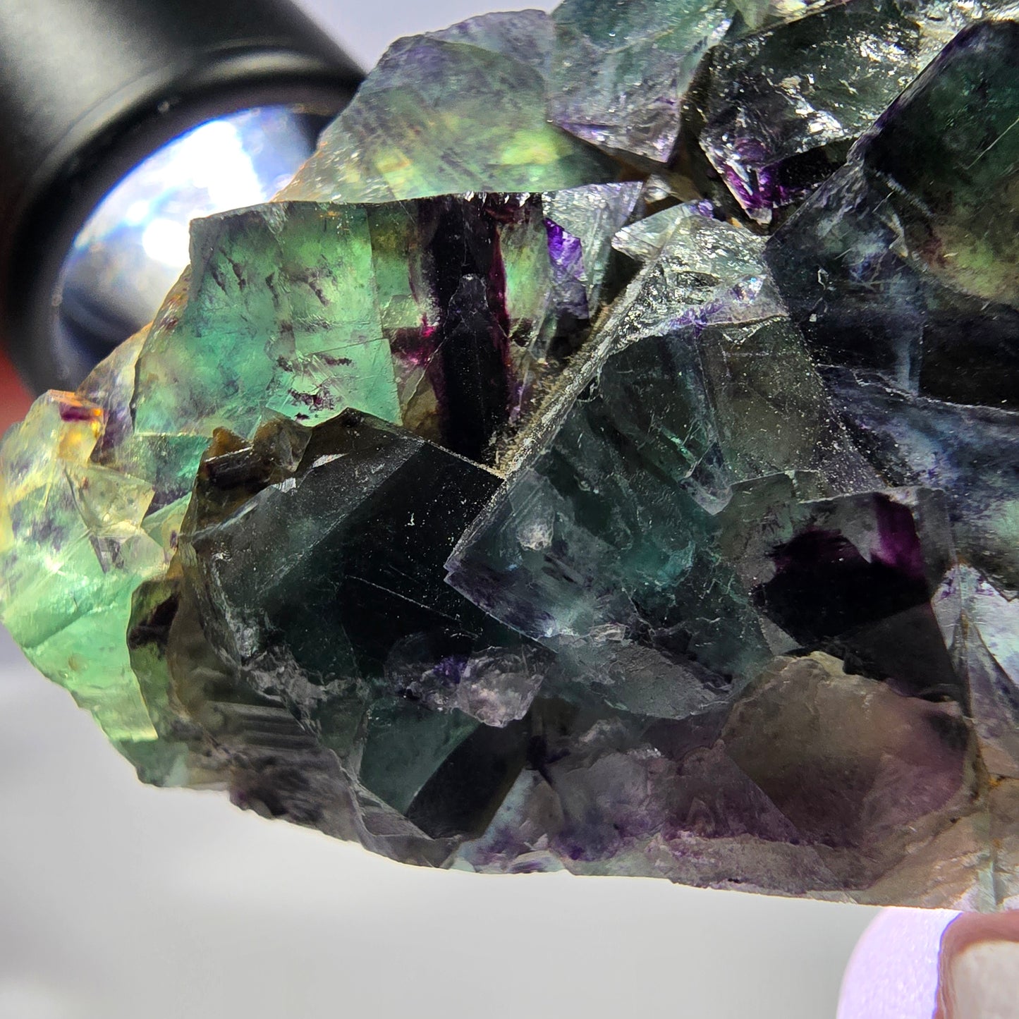 Spécimen de cube de fluorite fantôme, parqueté vert violet Okorusu, Namibie 64*41*19 mm