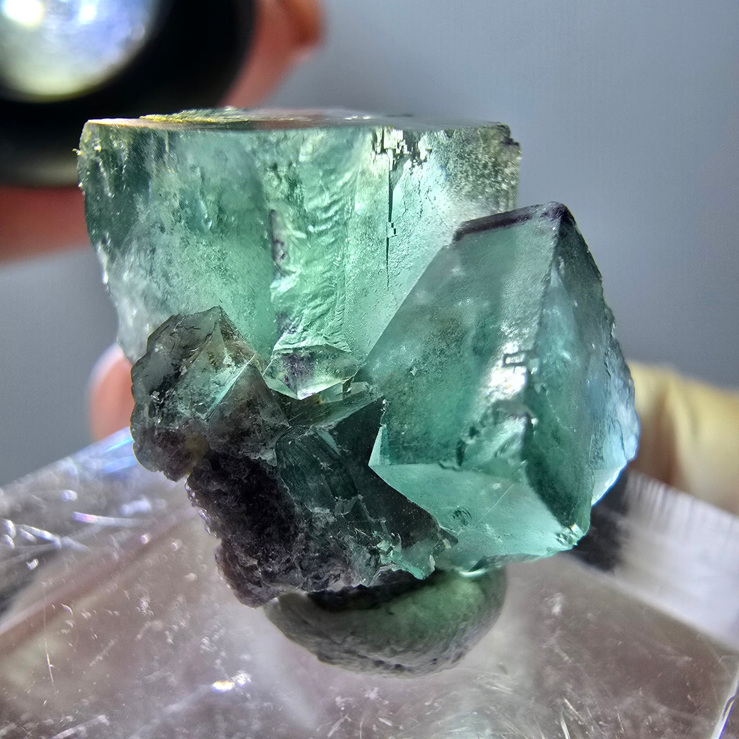 Phantom Fluorit Würfel Stufe, parkettiert, zonal Okorusu, Namibia 21*17*16mm