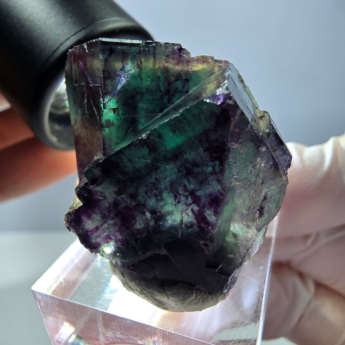 Phantom Fluorit Würfel Stufe, parkettiert grün lila Okorusu, Namibia 41*28*22mm