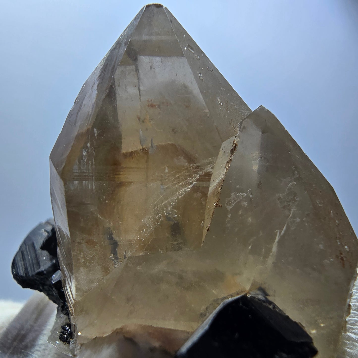 Spécimen rare de quartz fumé et de tourmaline Schorl à Erongo, Namibie, 53 x 48 x 39 mm