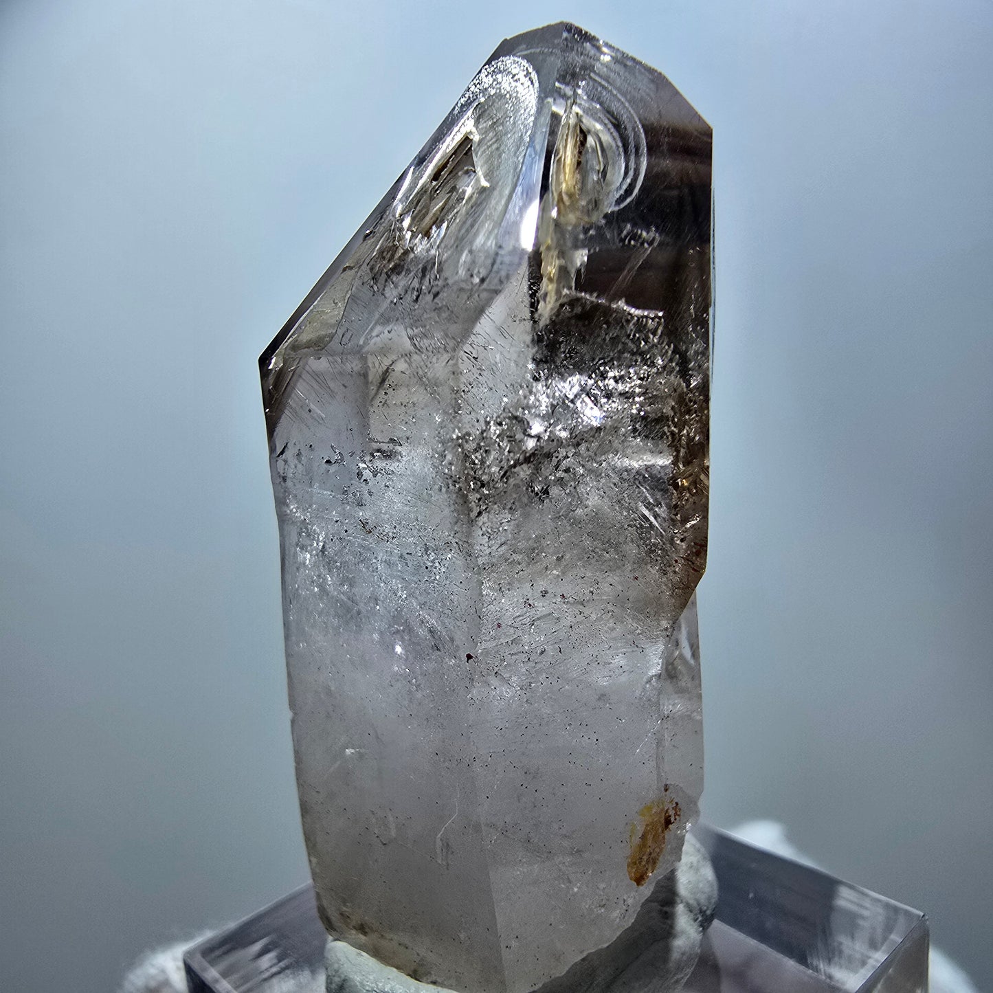 Quartz fumé fantôme transparent, pointe de sceptre, Goboboseb, Namibie, 45 x 23 x 18 mm