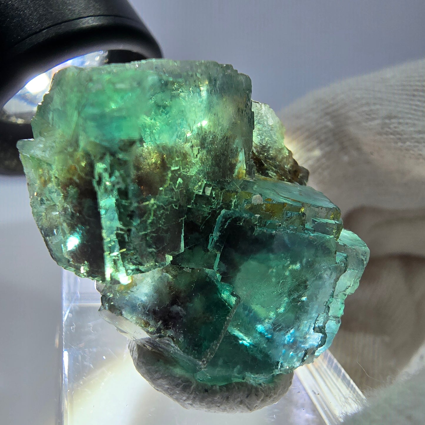 Spécimen de cube de fluorite fantôme parqueté vert turquoise Okorusu, Namibie 37*32*22mm