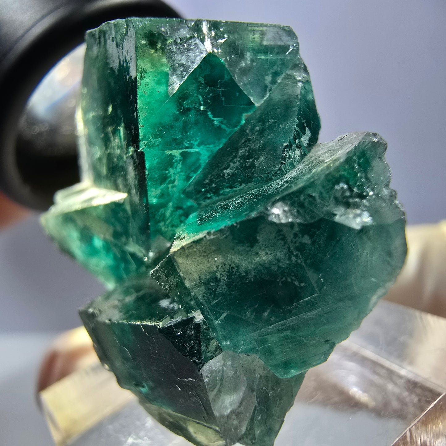 Rare spécimen de cube de fluorite fantôme, vert Okorusu, Namibie 32 x 29 x 17 mm
