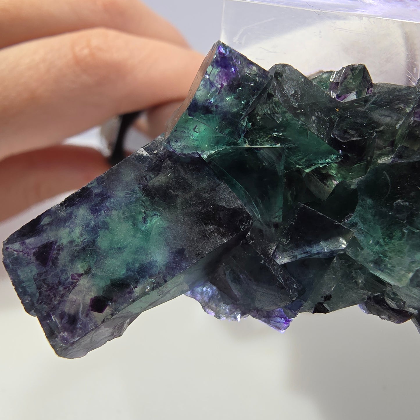 Spécimen de cube de fluorite fantôme transparente, vert-violet zonal, Okorusu, Namibie, 57 x 32 x 18 mm