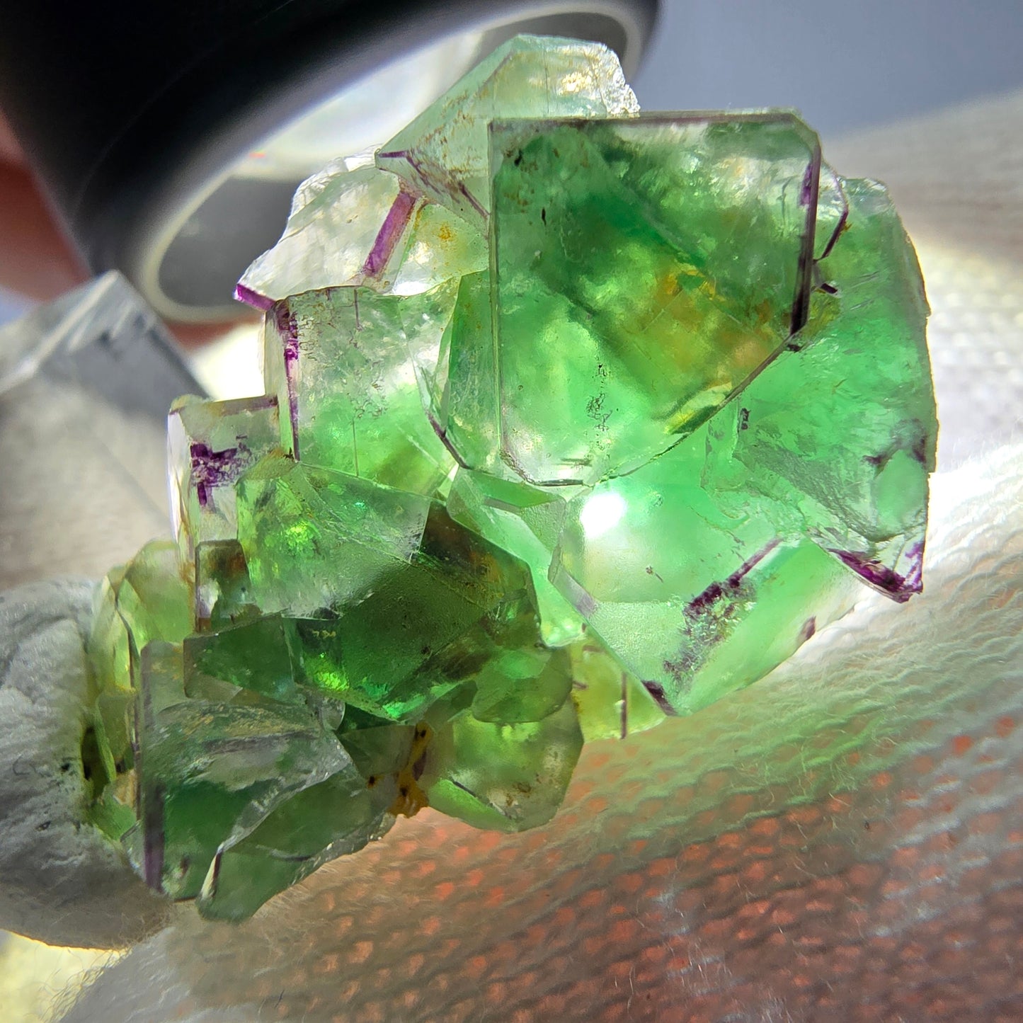Cube de fluorite fantôme zonal, spécimen de muscovite, Erongo, Namibie, 30 x 19 x 10 mm