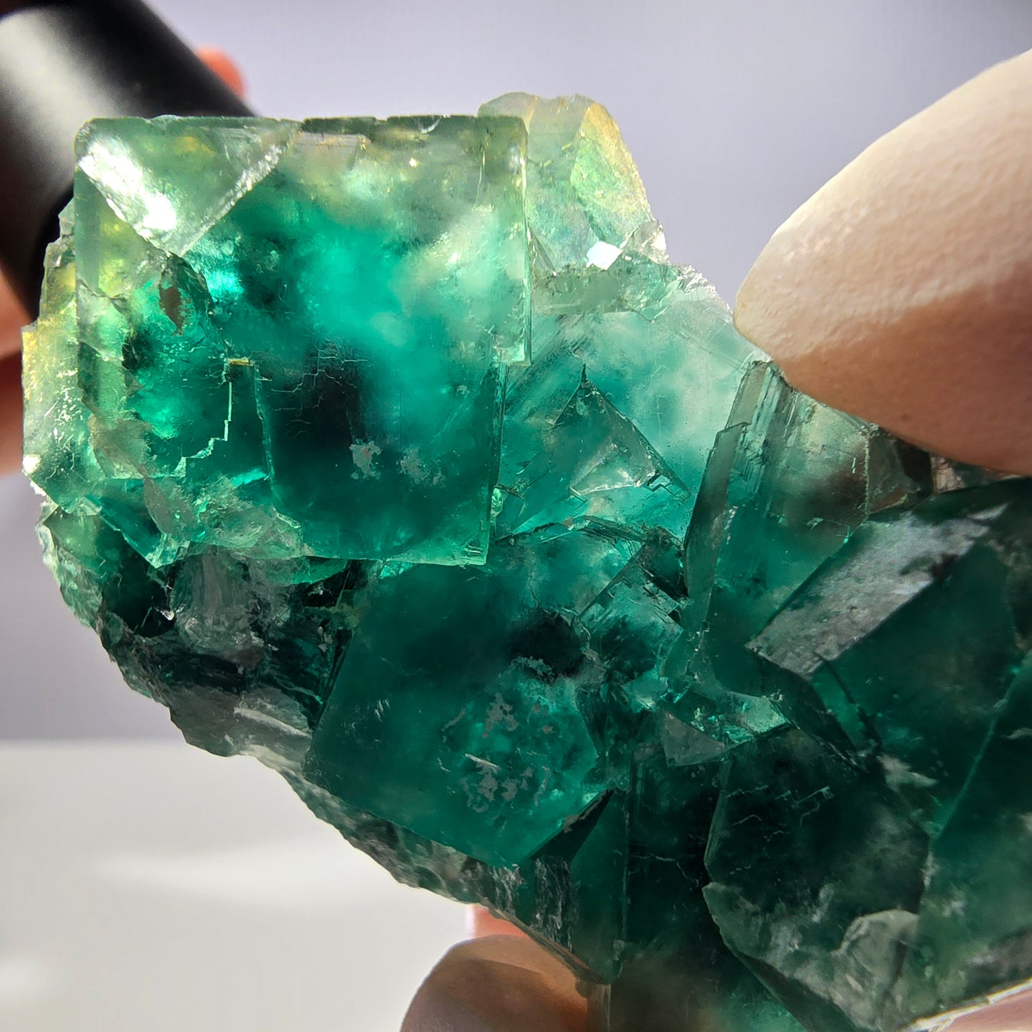 Spécimen de cube de fluorite fantôme transparente, vert parqueté, Okorusu, Namibie, 58 x 45 x 16 mm