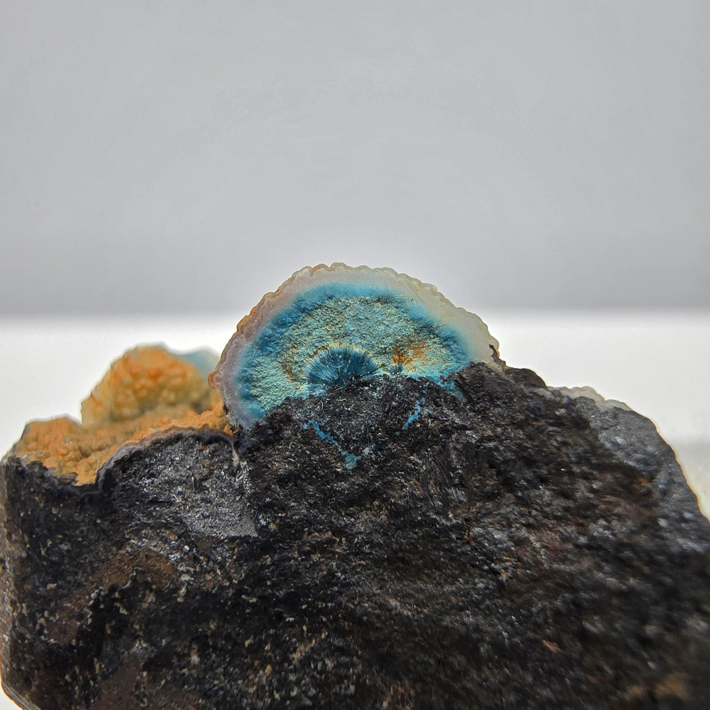 Seltene Shattuckit Stufe mit Kugel Kristallen blau Kaokoveld, Namibia 29*22*13mm