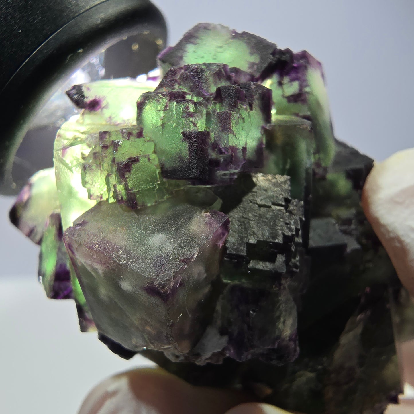 Spécimen de cube de fluorite fantôme, parqueté, zonal Okorusu, Namibie 54 x 39 x 38 mm