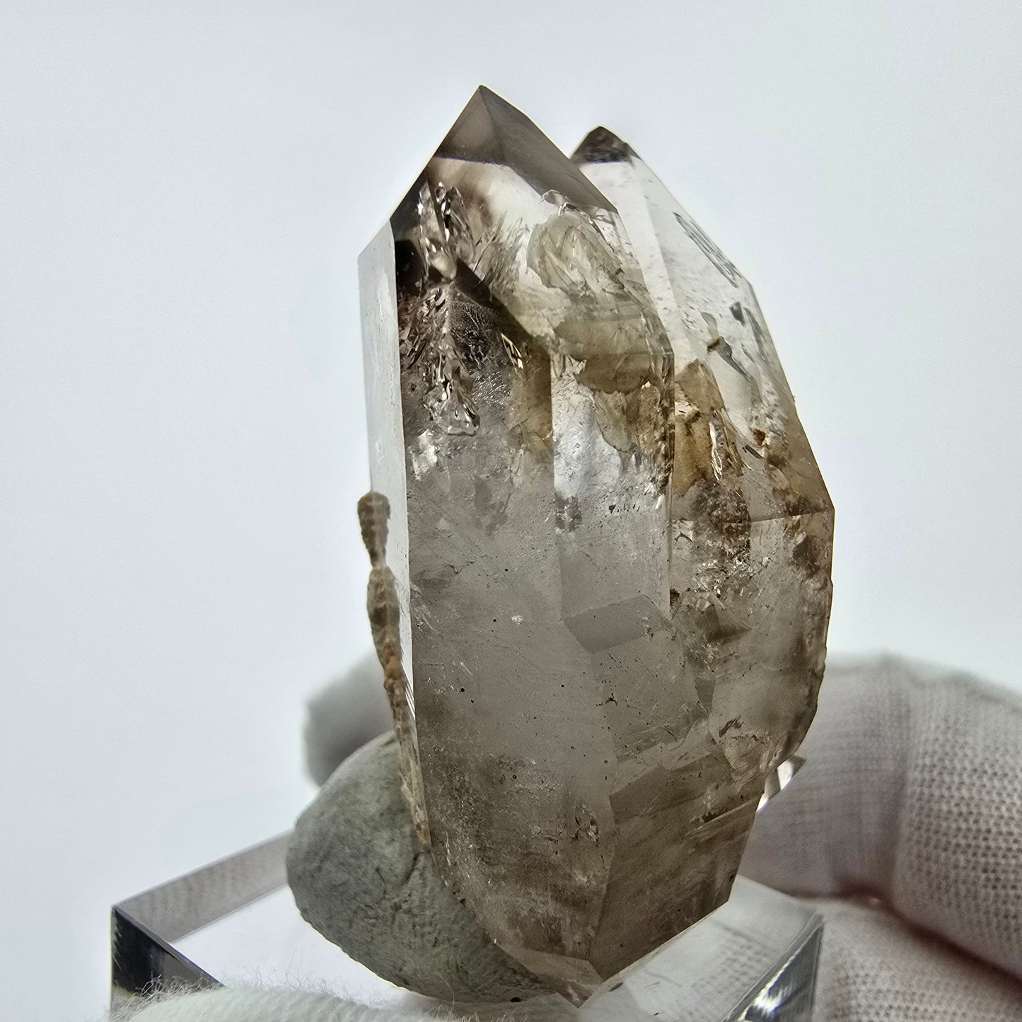 Enhydro Phantom Rauchquarz Doppelender 1x Blase Goboboseb, Namibia 47*29*20mm