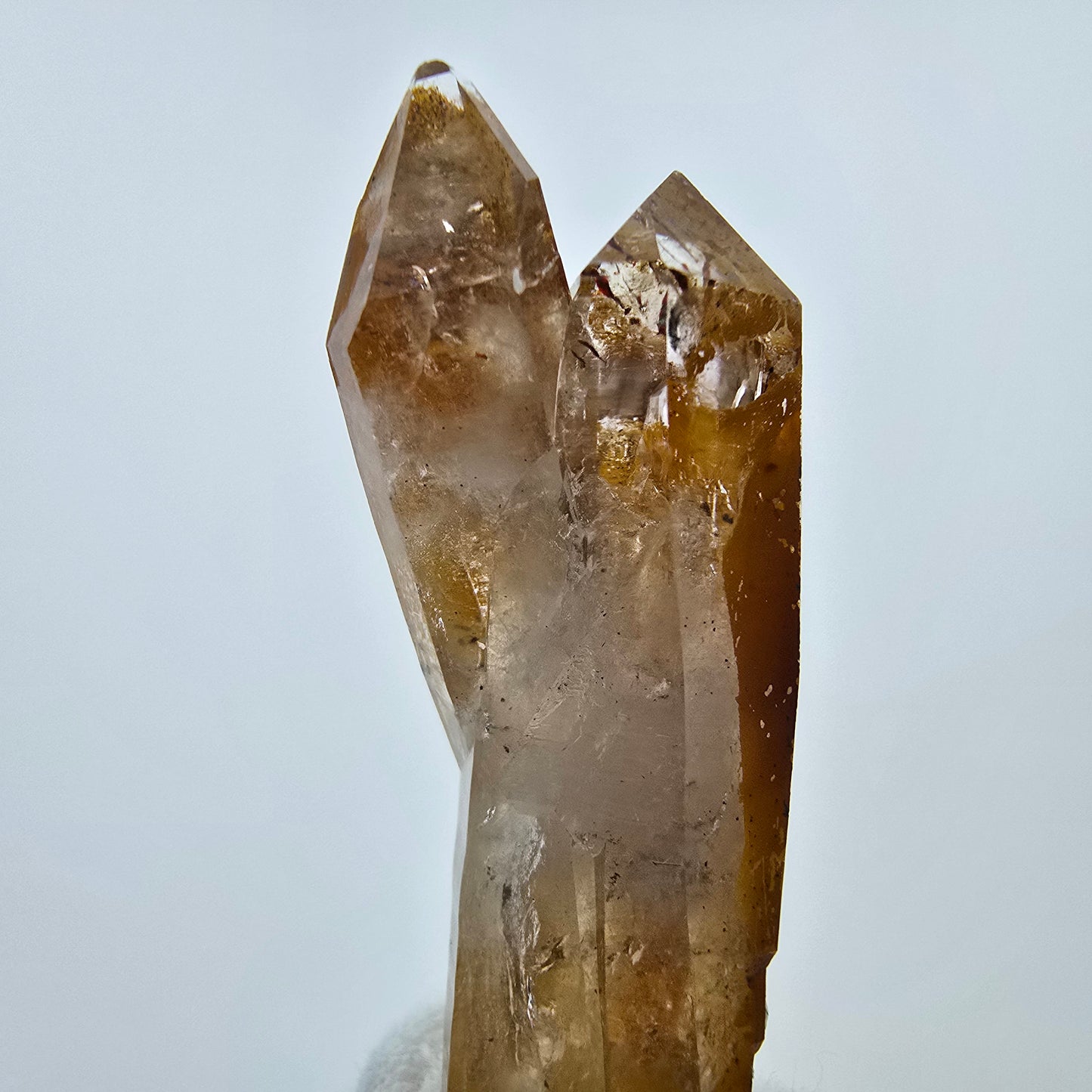 Quartz fumé Harlequin avec formation de fer DT Goboboseb Namibie 62*18*13mm Collection