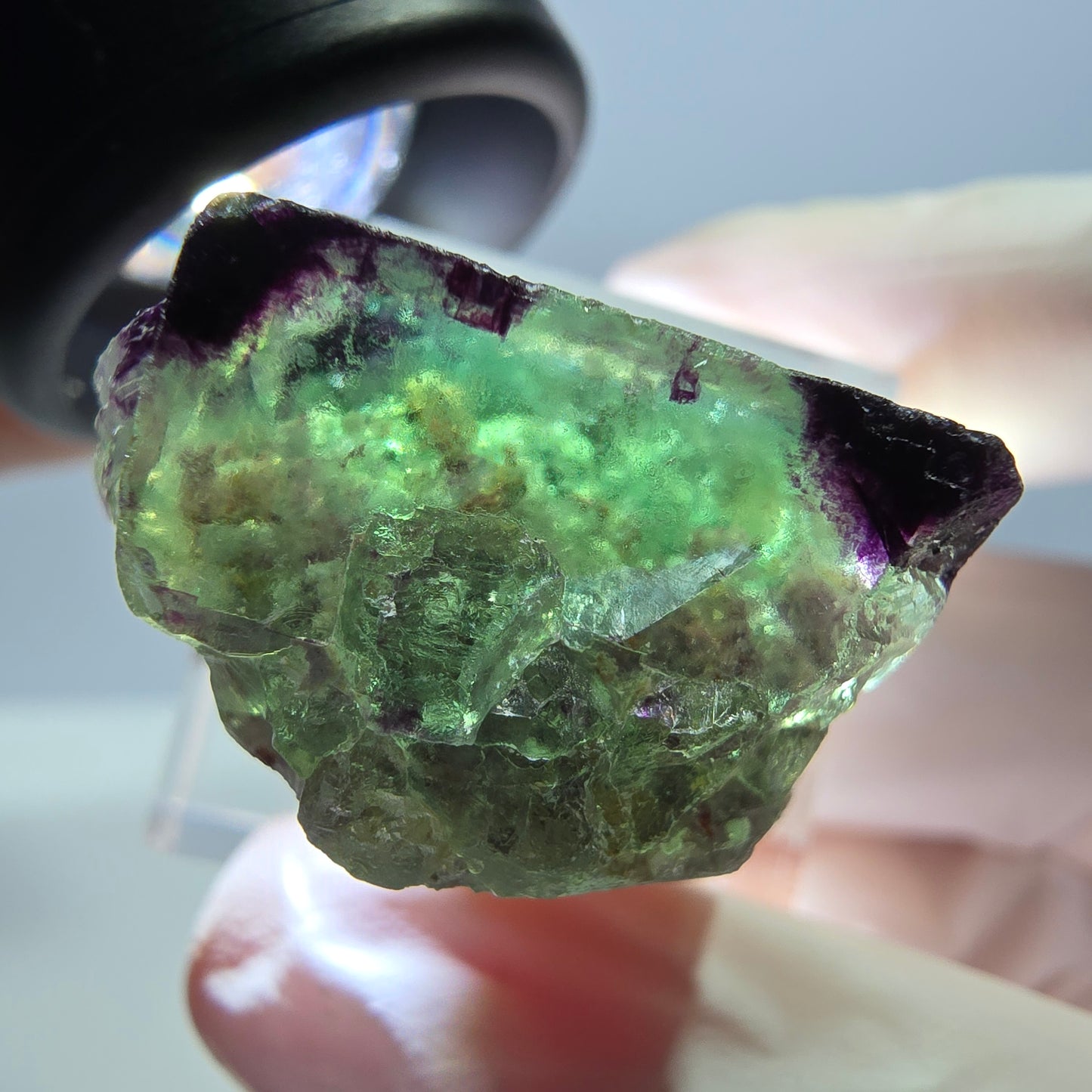 Phantom Fluorit Würfel Stufe, parkettiert, zonal Okorusu, Namibia 27*24*14mm