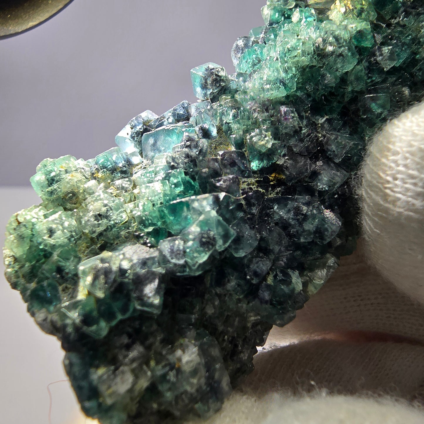 Cube de fluorite fantôme zonal, spécimen de tourmaline Schorl, Erongo, Namibie, 72 x 33 x 31 mm