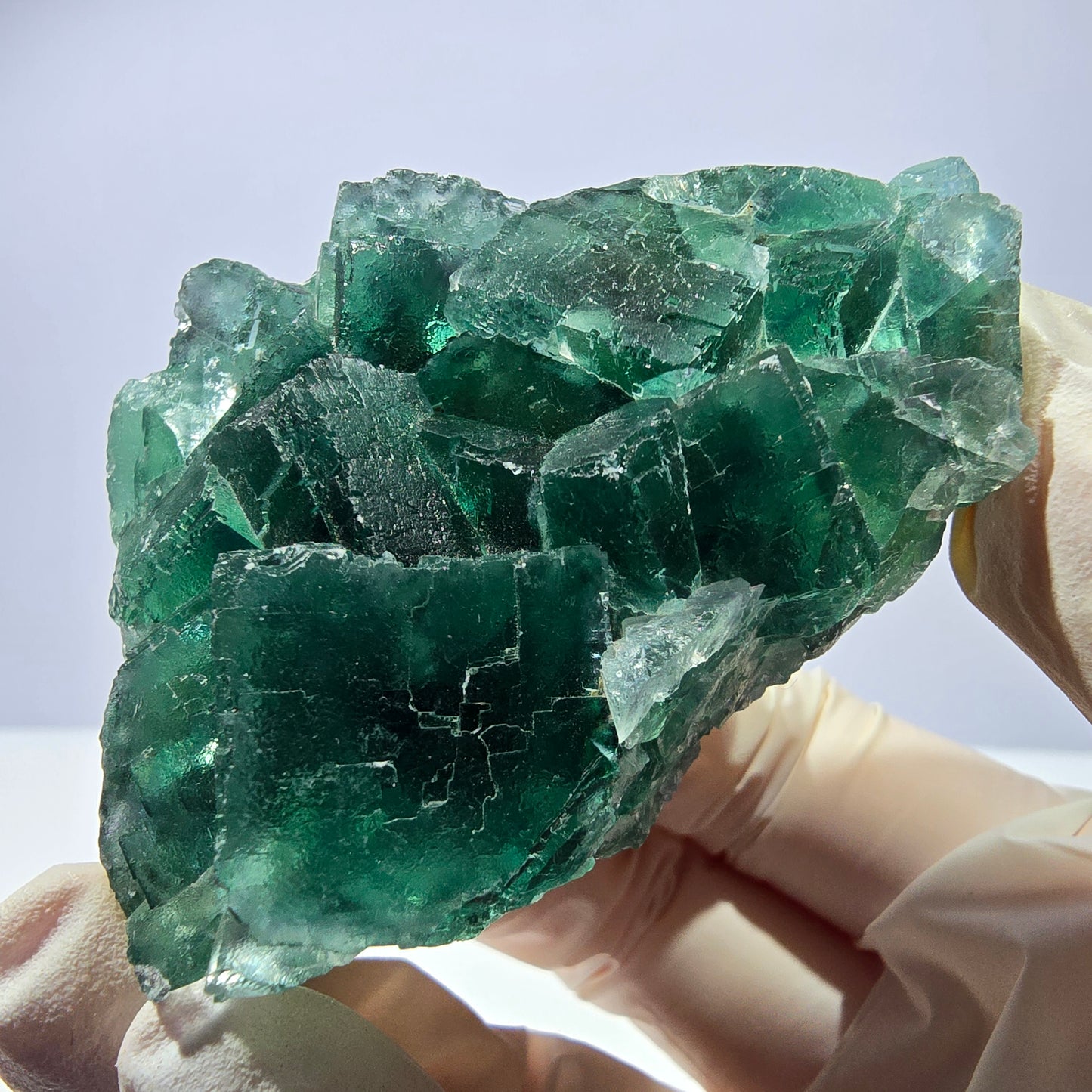 Rare spécimen de cube de fluorite fantôme, parqueté vert Okorusu, Namibie, 61 x 48 x 24 mm