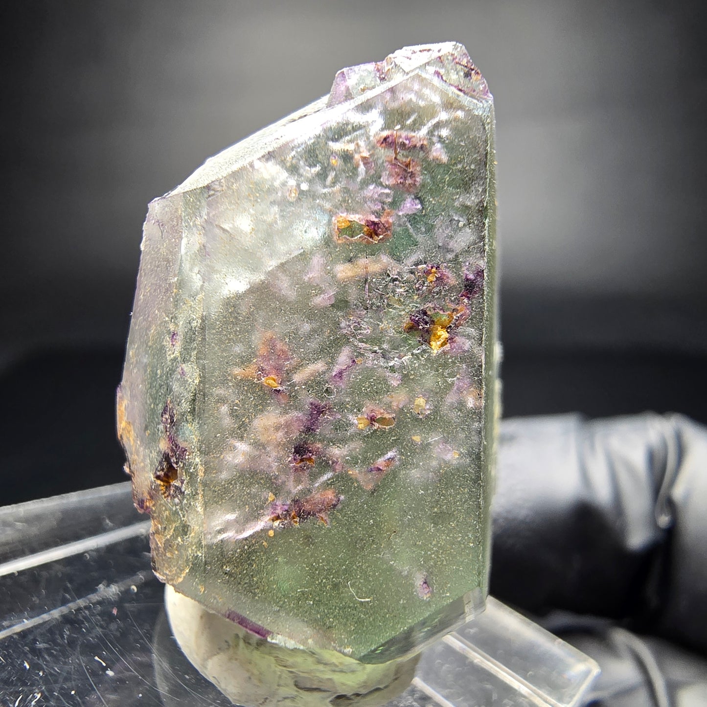 Zonar Phantom Fluorite Cube Tier Vert Violet Erongo Namibie 29*20*17mm