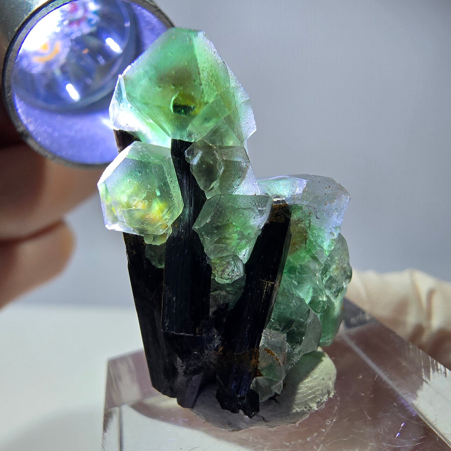 Cube hexagonal de fluorite fantôme, muscovite, tourmaline Schörl, Erongo, Namibie, 30 x 23 x 20 mm
