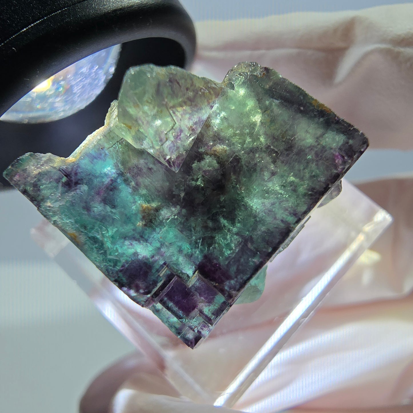 Phantom Fluorit Würfel Stufe, parkettiert, zonal Okorusu, Namibia 23*22*20mm