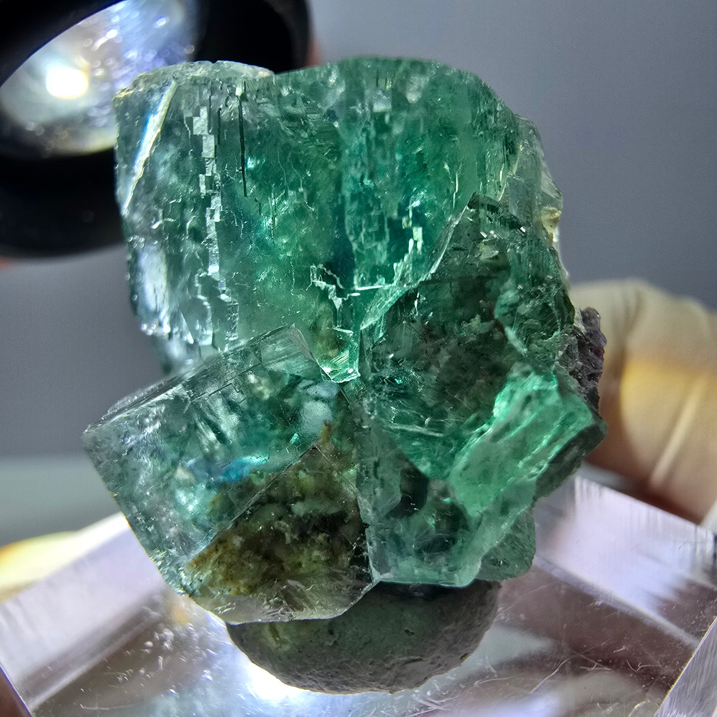 Phantom Fluorit Würfel Stufe, grün parkettiert Okorusu, Namibia 27*24*20mm