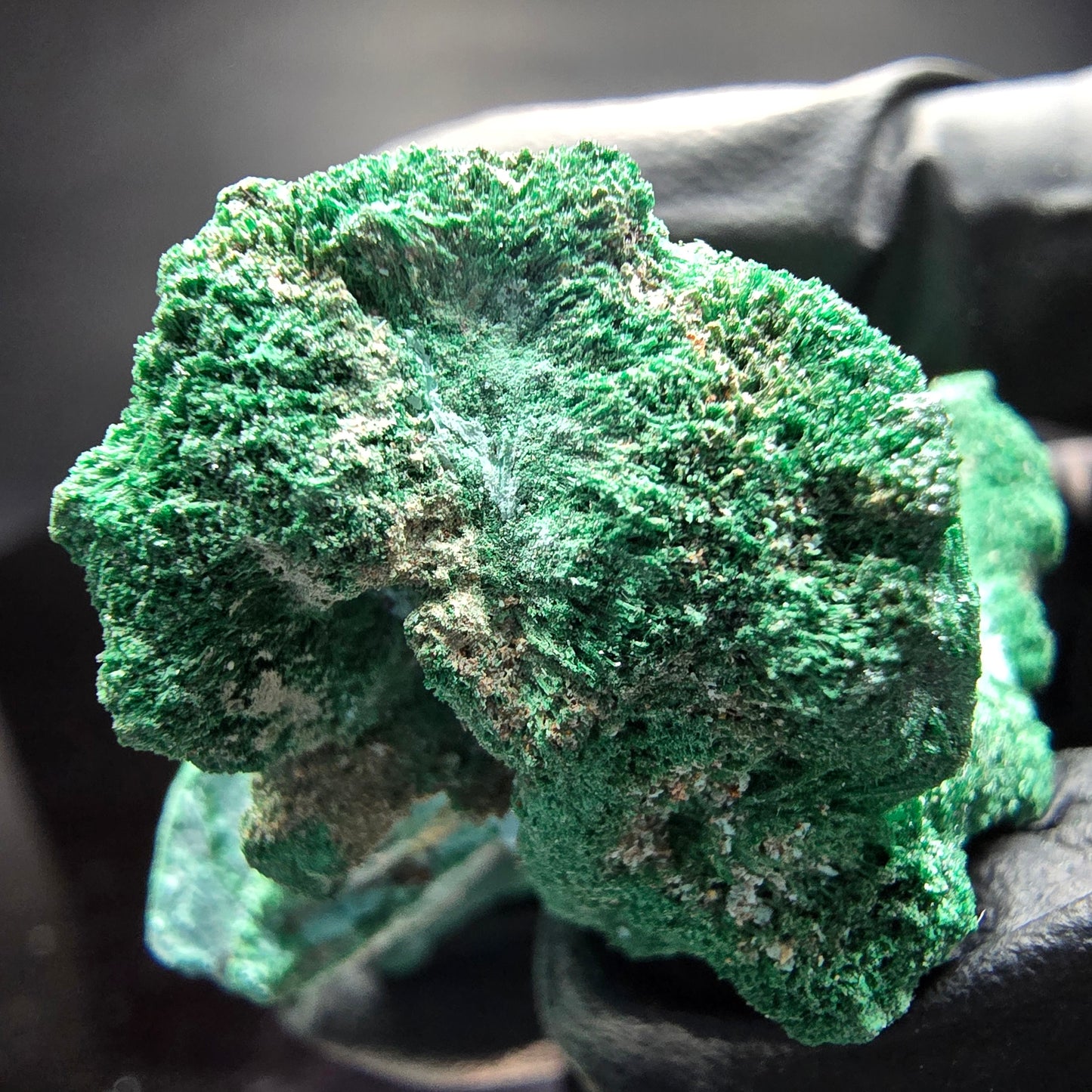 Seltene Malachit, Chrysokoll Stufe Kaokoveld, Namibia 40*31*31mm Sammlung
