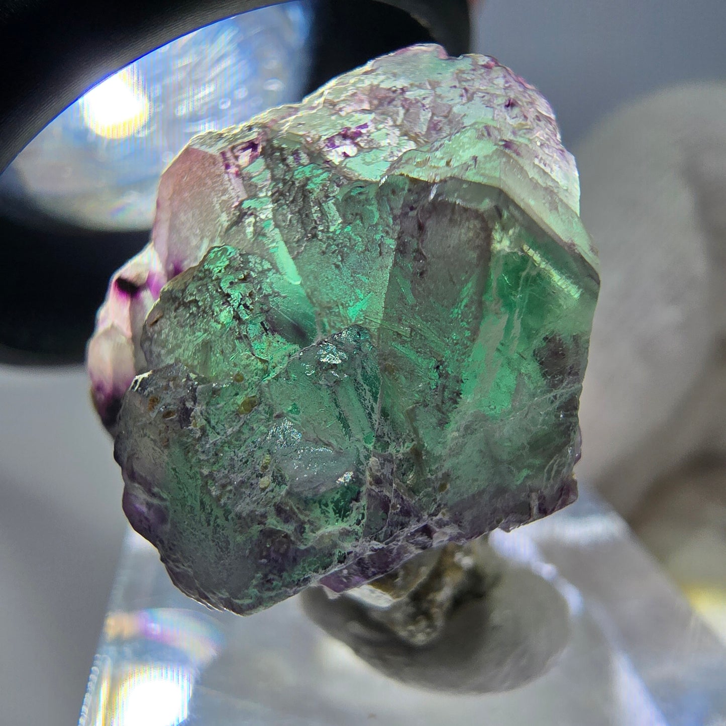 Cube de fluorite fantôme zonal, spécimen de muscovite, Erongo, Namibie, 24 x 20 x 19 mm