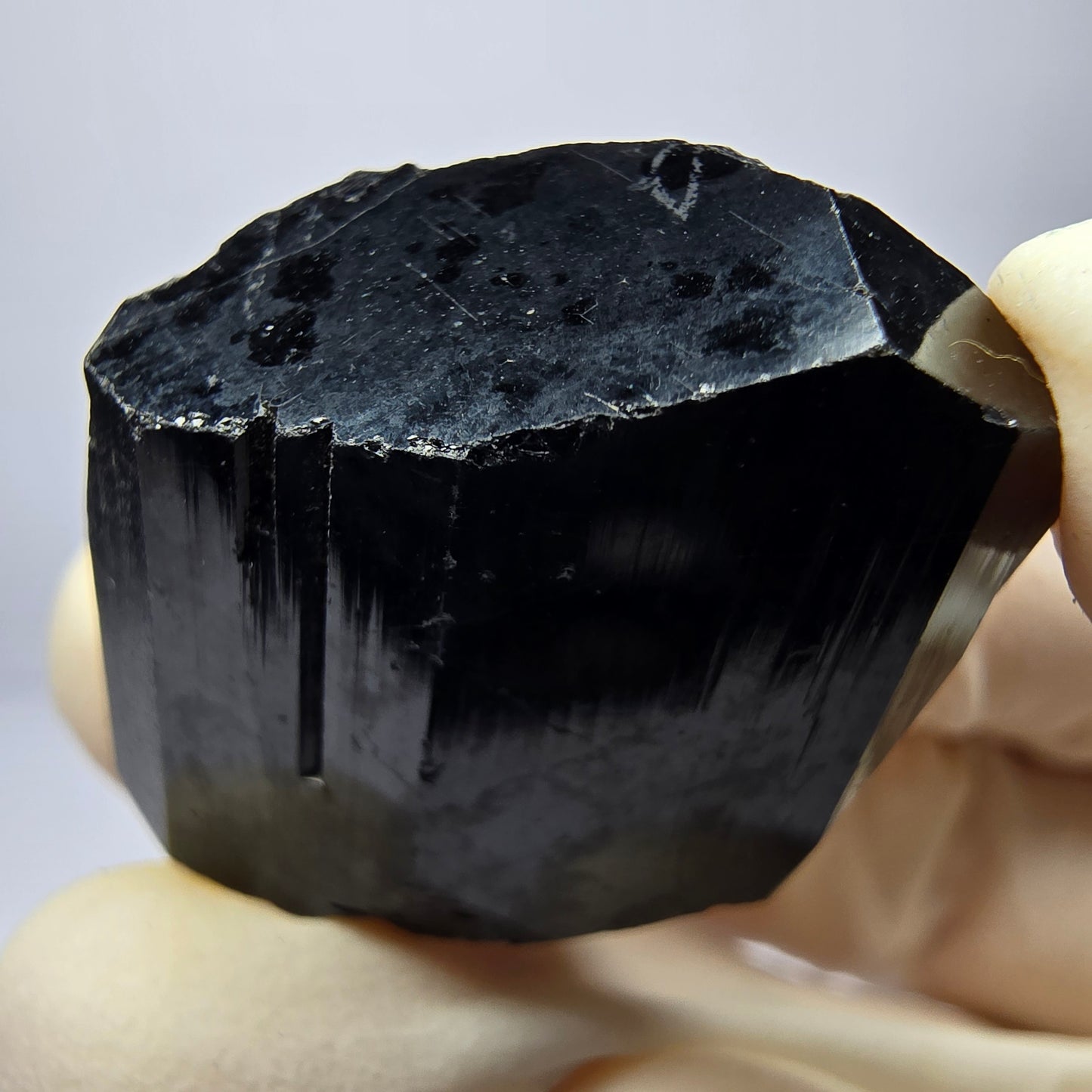 Belle étape Schörl Tourmaline noire Erongo, collection Namibie 33*22*9mm