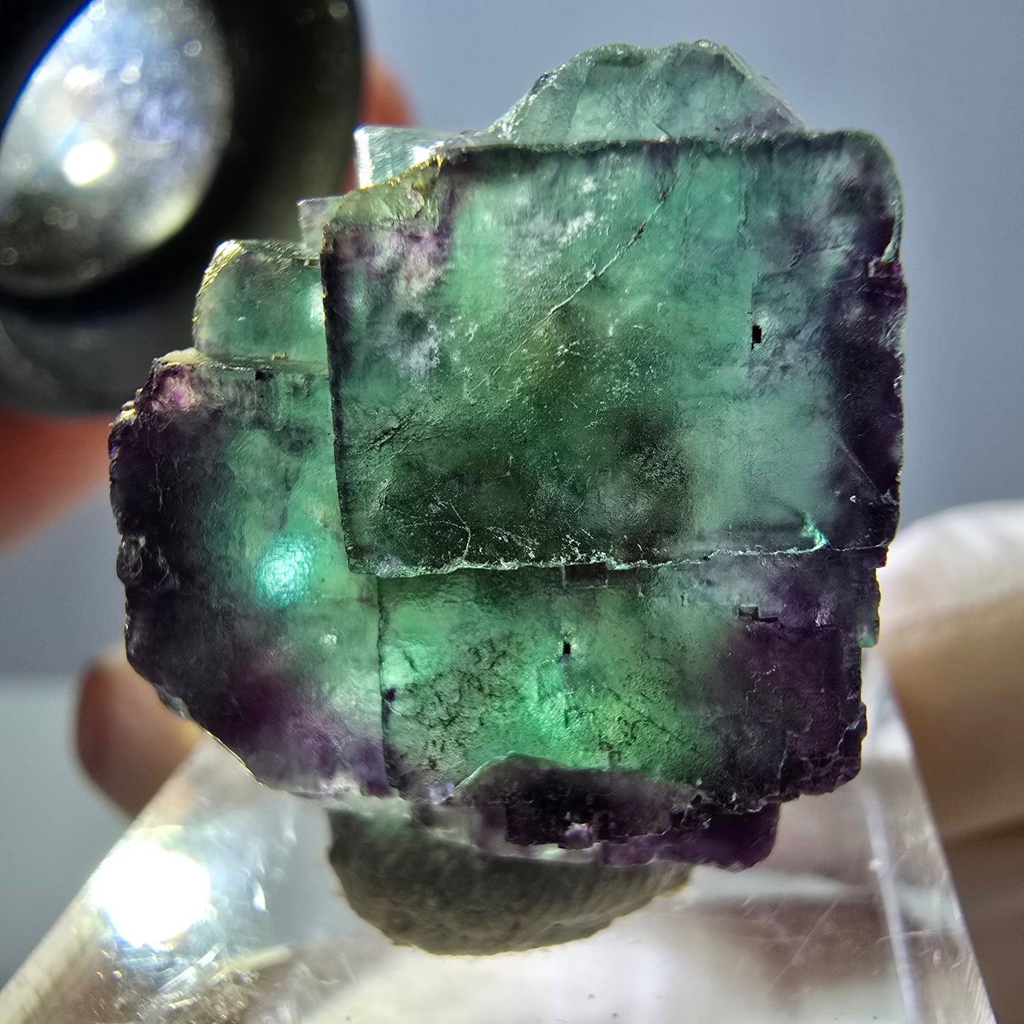 Spécimen de cube de fluorite fantôme, vert violet, Okorusu, Namibie, 26 x 21 x 15 mm