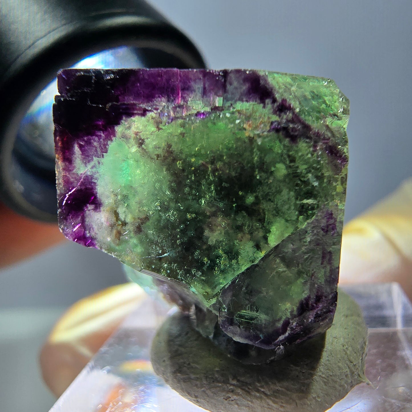 Phantom Fluorit Würfel parkettiert, zonal, grün lila Okorusu, Namibia 21*20*18mm