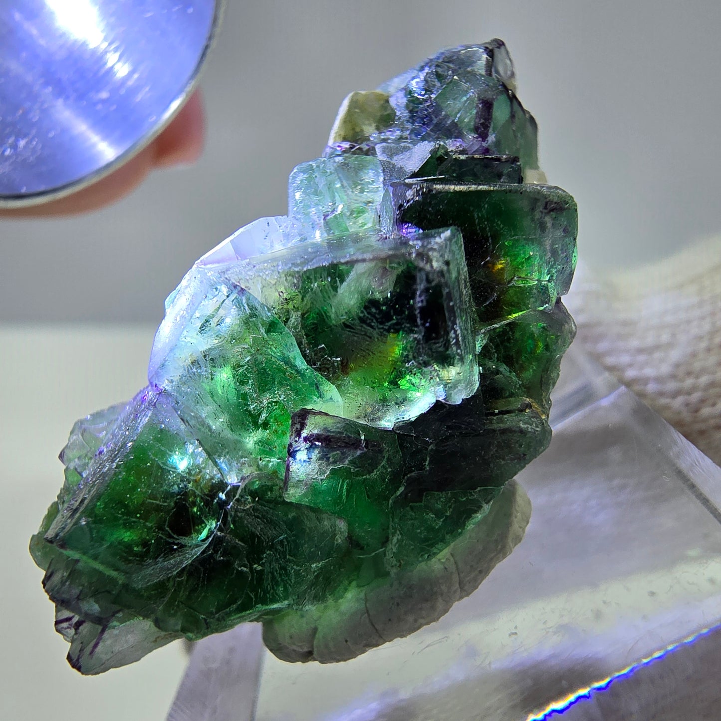 Fluorite fantôme, quartz fumé, hyalite, tourmaline de Schörl, muscovite, Erongo, Namibie, 37 x 18 x 18 mm