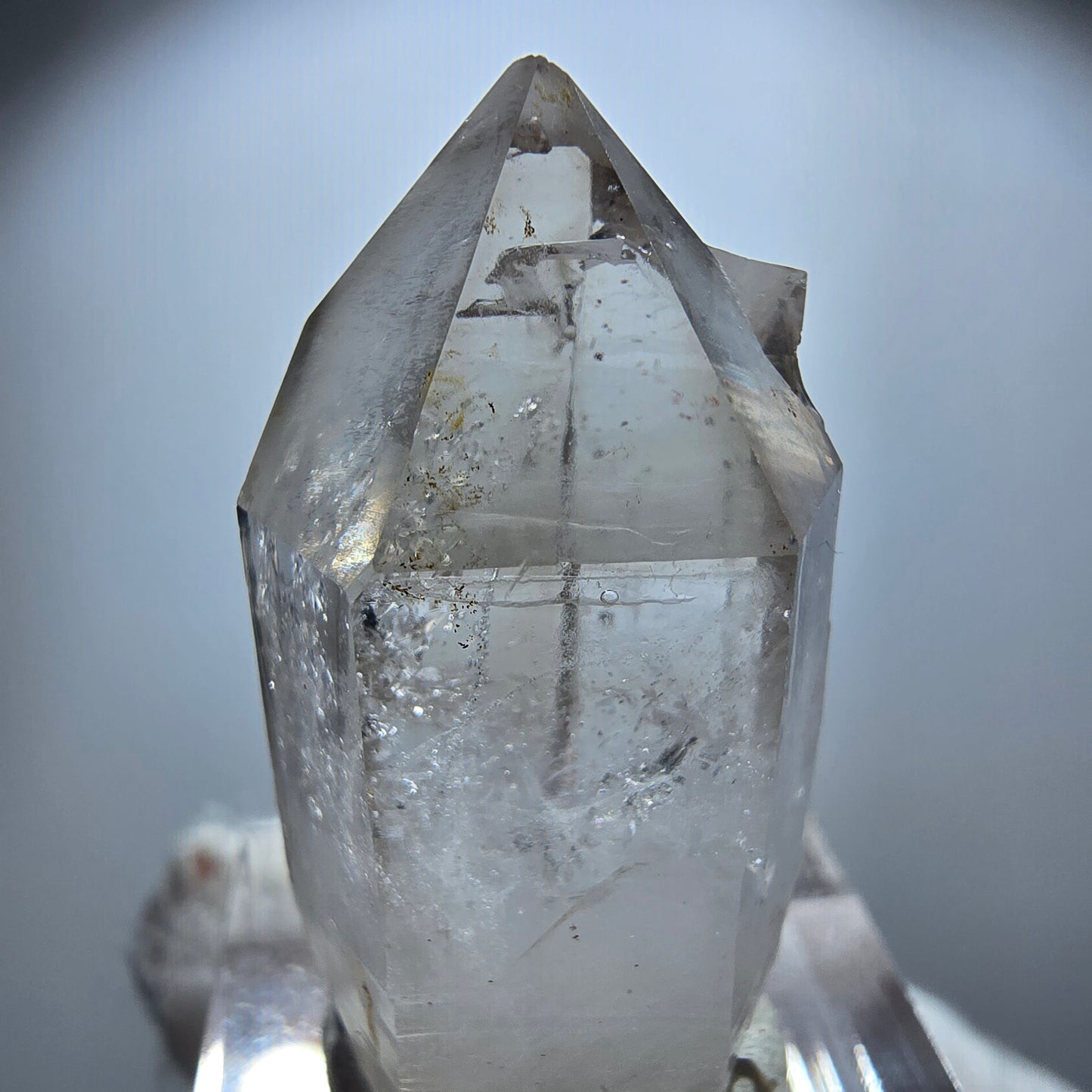Enhydro Phantom Rauchquarz Zepter, 1x Blase Goboboseb, Namibia 34*19*13mm