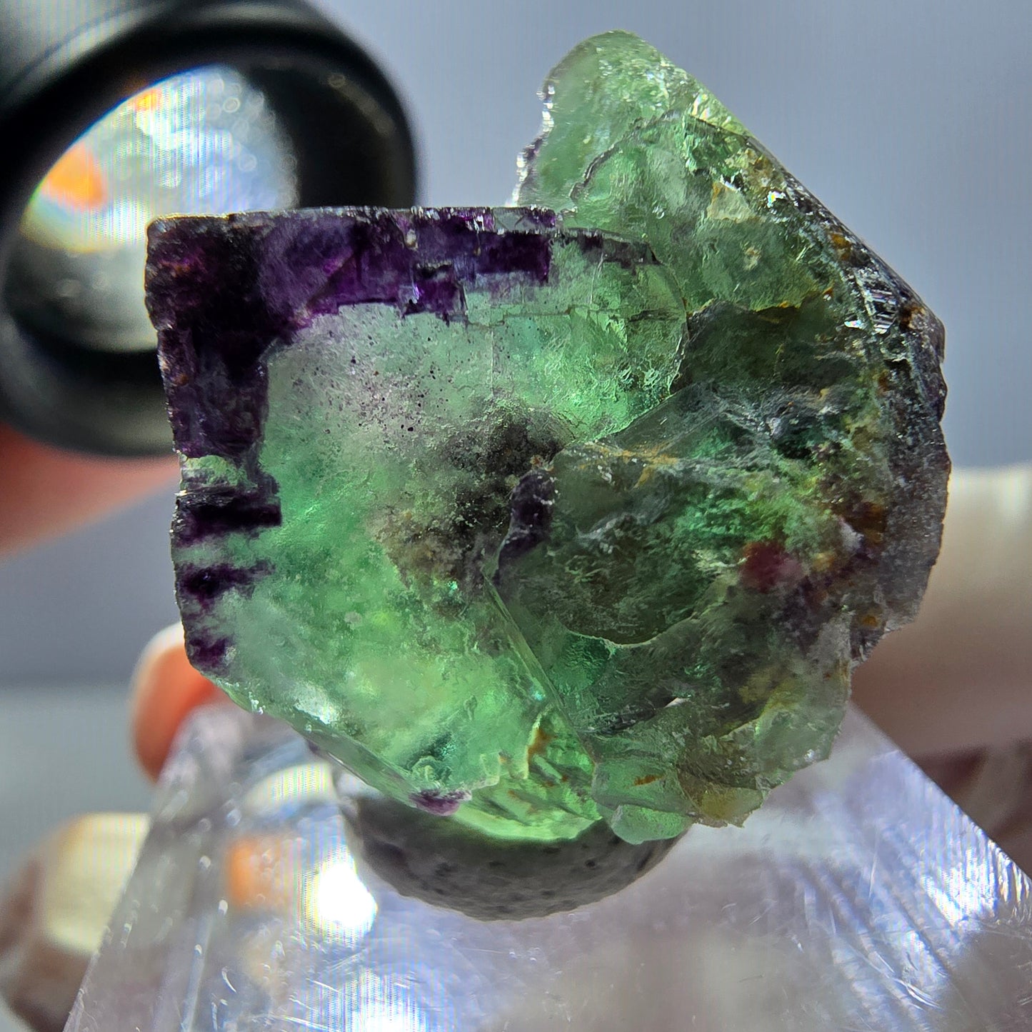 Spécimen de cube de fluorite fantôme, parqueté vert violet Okorusu, Namibie 27*25*20 mm
