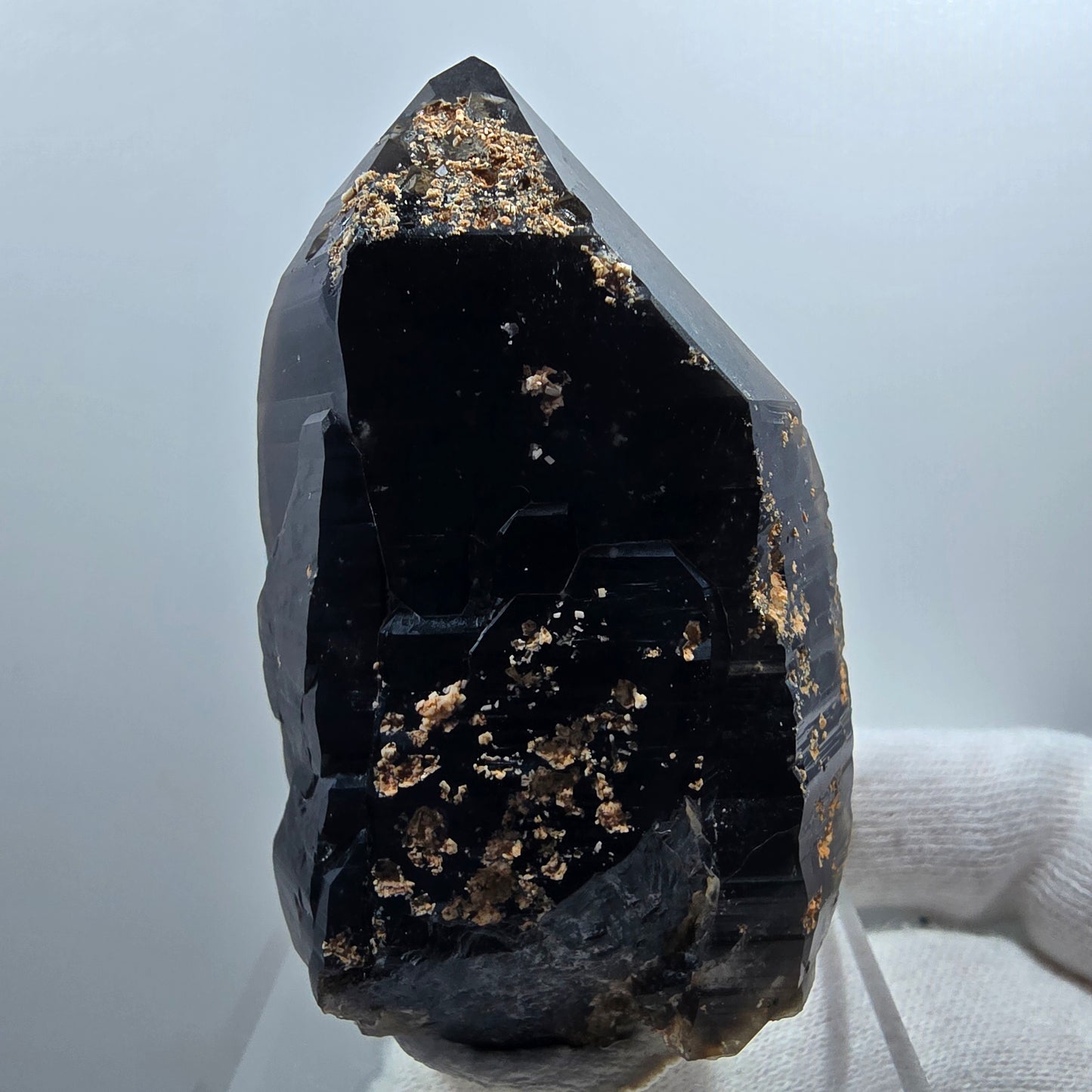 Sceptre de poche en quartz fumé squelette fantôme lémurien, Goboboseb de la Saint-Valentin, Namibie, 66 x 41 x 36 mm