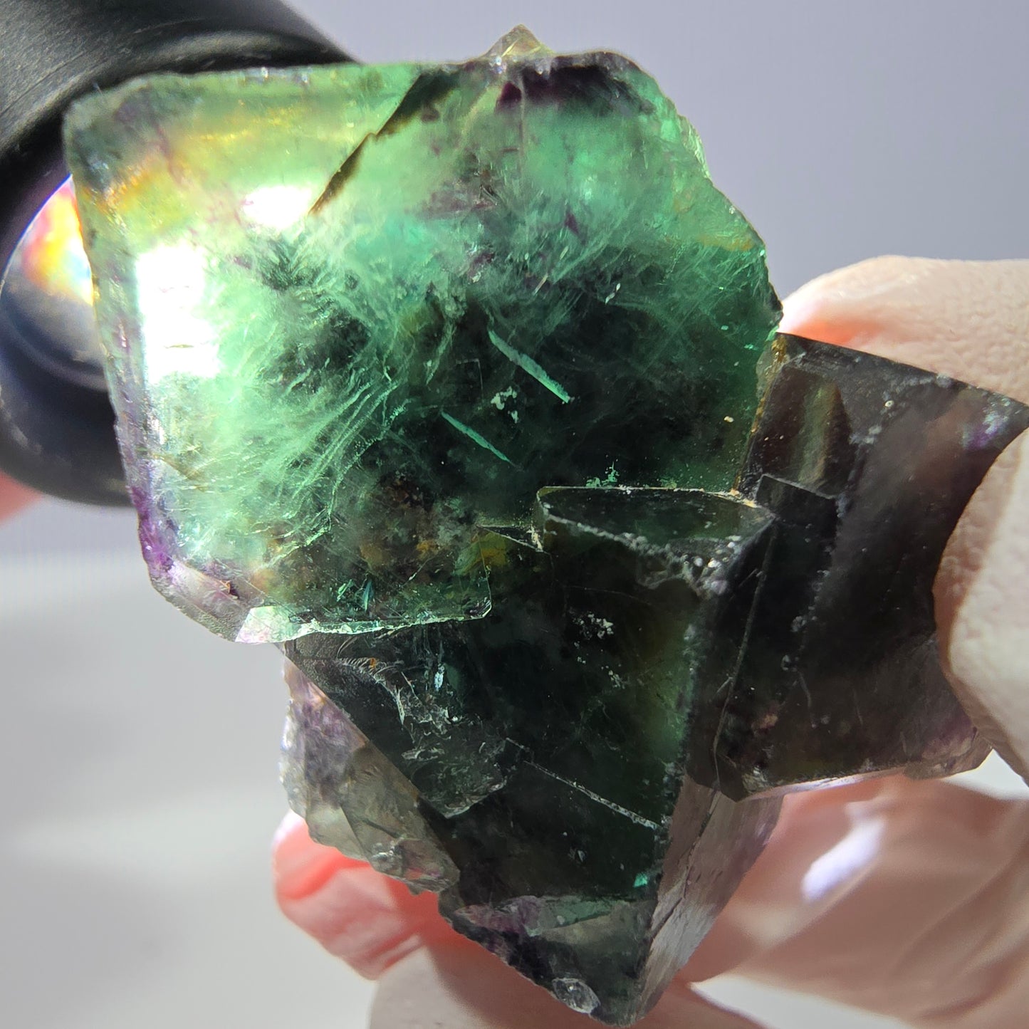 Spécimen de cube de fluorite fantôme, parqueté vert violet Okorusu, Namibie 33*34*21 mm