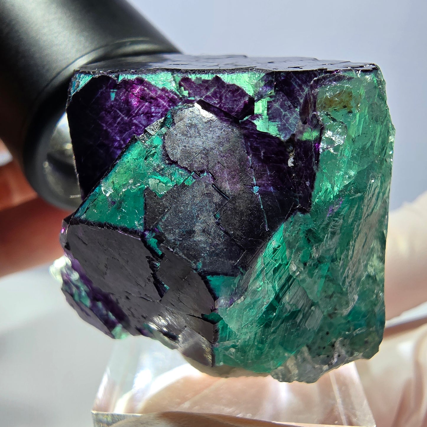 Phantom Fluorit Würfel Stufe grün lila zonal 11:11 Angel Pocket, Namibia 37*33*28mm