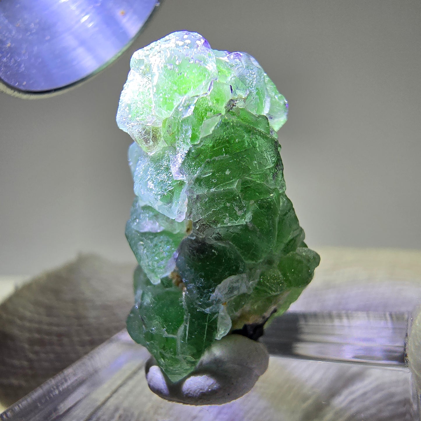 Cube de fluorite fantôme, spécimen de tourmaline Schorl, Erongo, Namibie, 26 x 15 x 15 mm