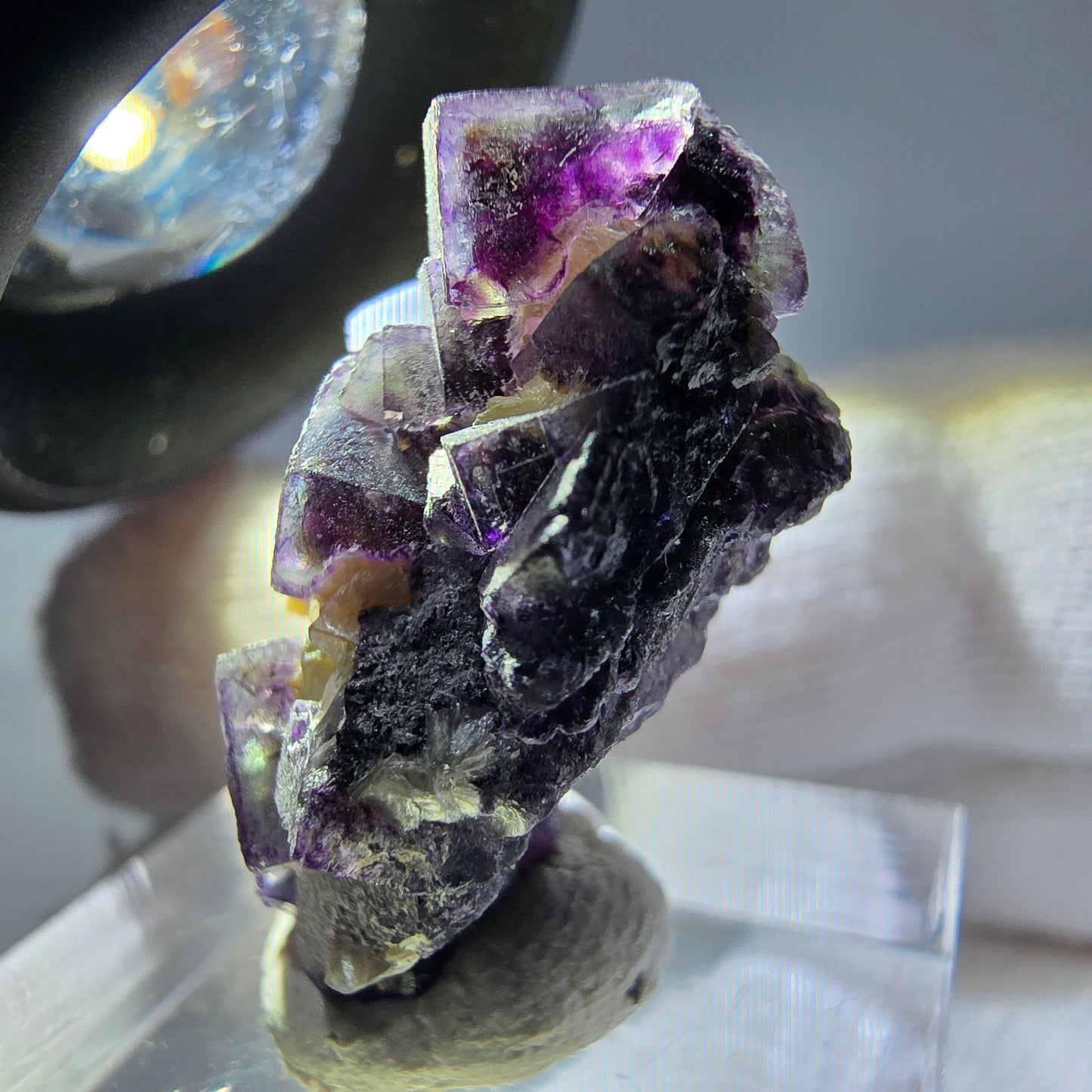 Cubes de fluorite fantôme colorés, spécimen de muscovite, Erongo, Namibie, 26 x 19 x 15 mm