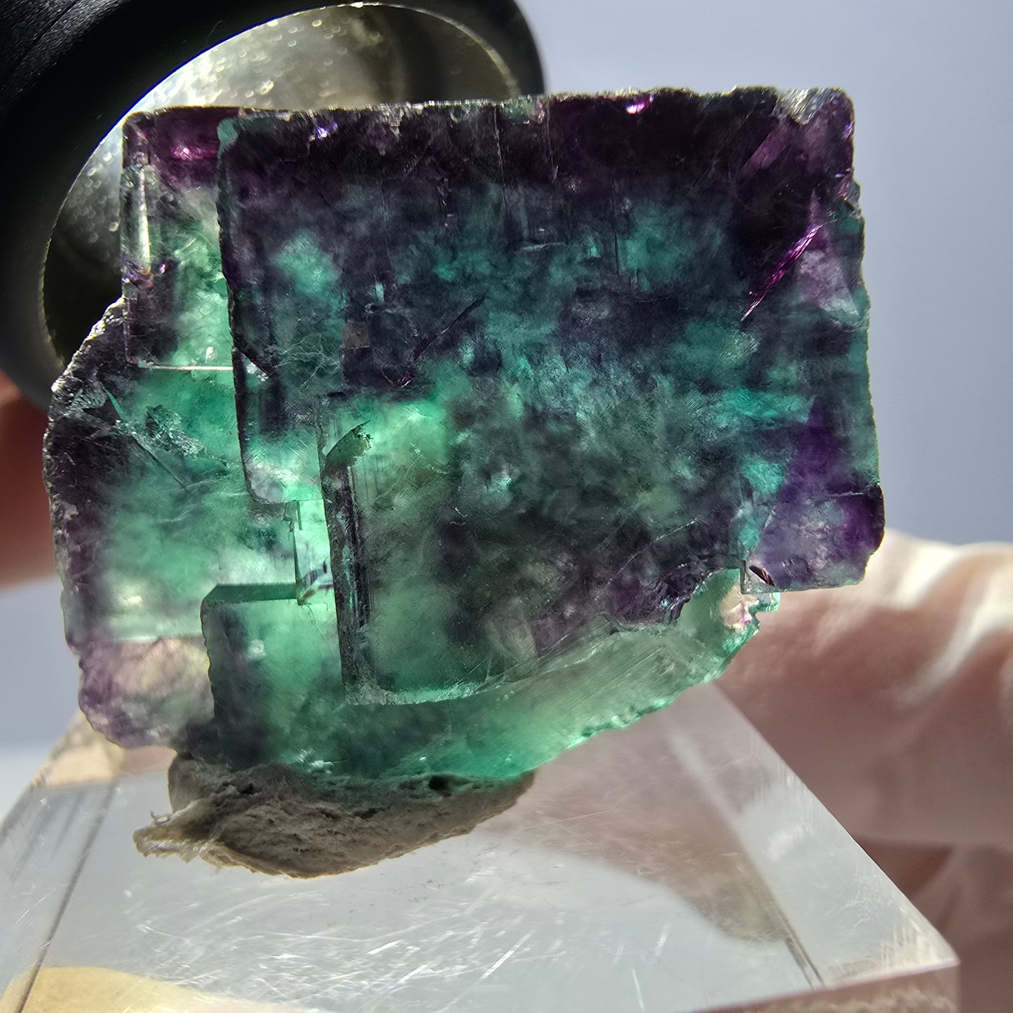 Spécimen de cube de fluorite fantôme, parqueté vert violet Okorusu, Namibie 28*24*22 mm
